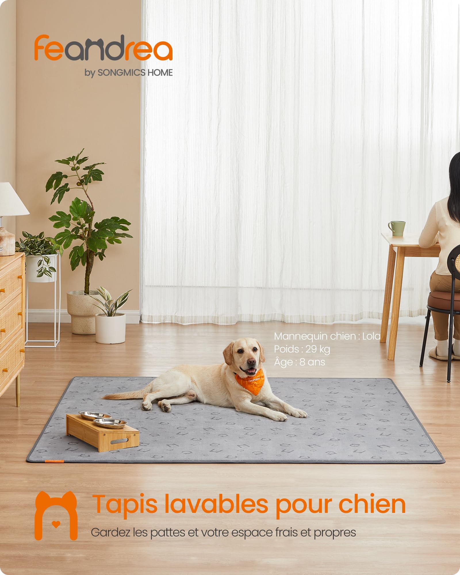Feandrea Tapis Absorbant Lavable pour Chien, 2 Paquets, Réutilisable, 183 x 183 cm, XXL, Tapis Éducateur pour Animaux, Anti-Fuite, Antidérapant, pour Chiens, Chats, Lapins, Gris Tourterelle PTD005G01