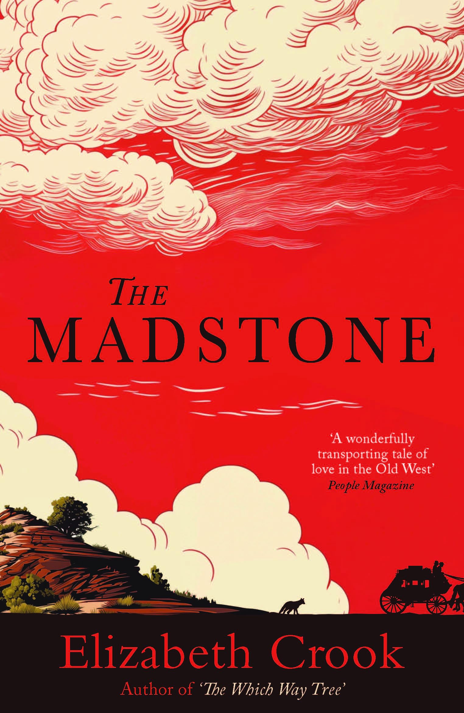 The Madstone by Elizabeth Crook PAPERBACK 9781835011027