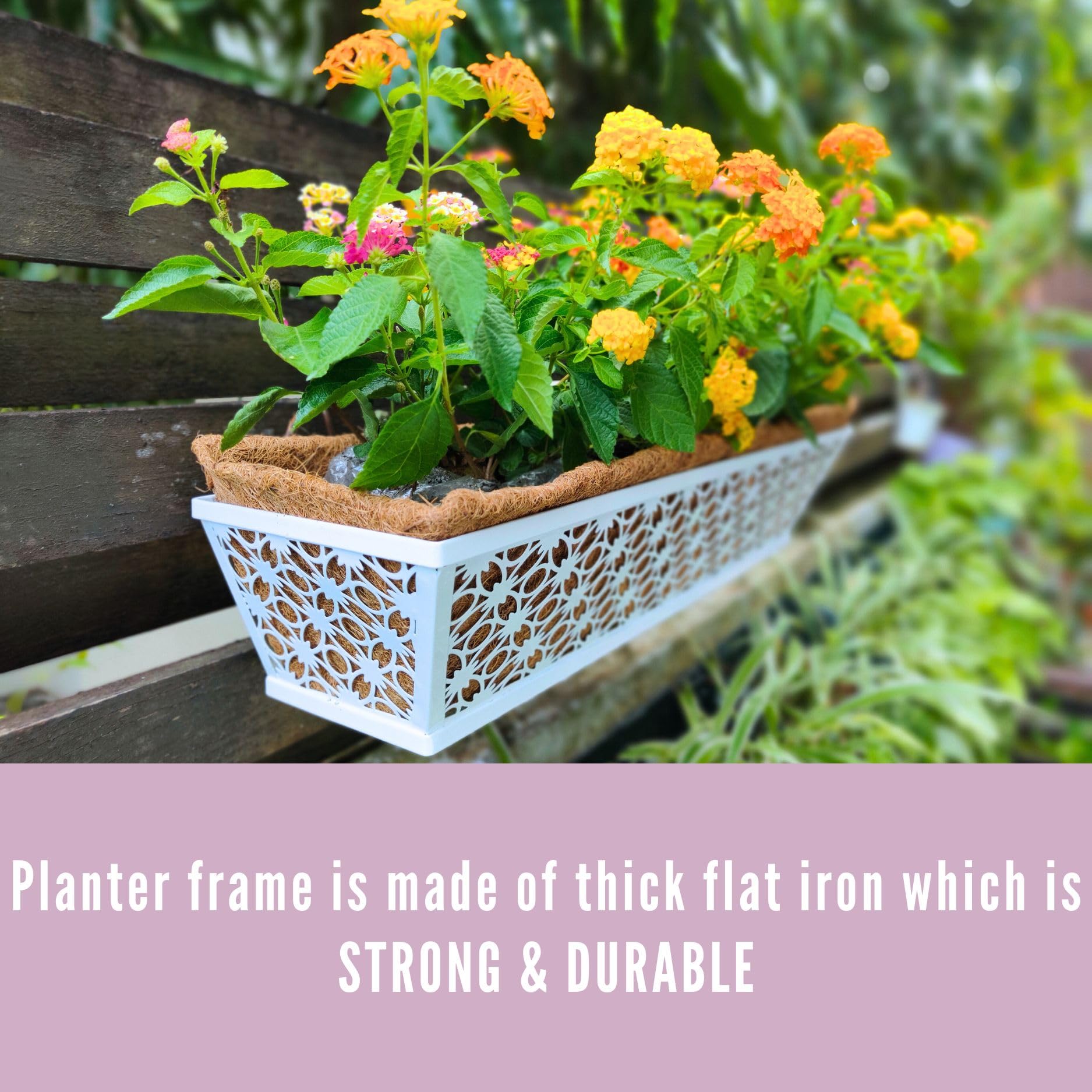LaLaGreen Window Boxes Planters for Outdoor Plants (2 Pack, 24 Inch ...