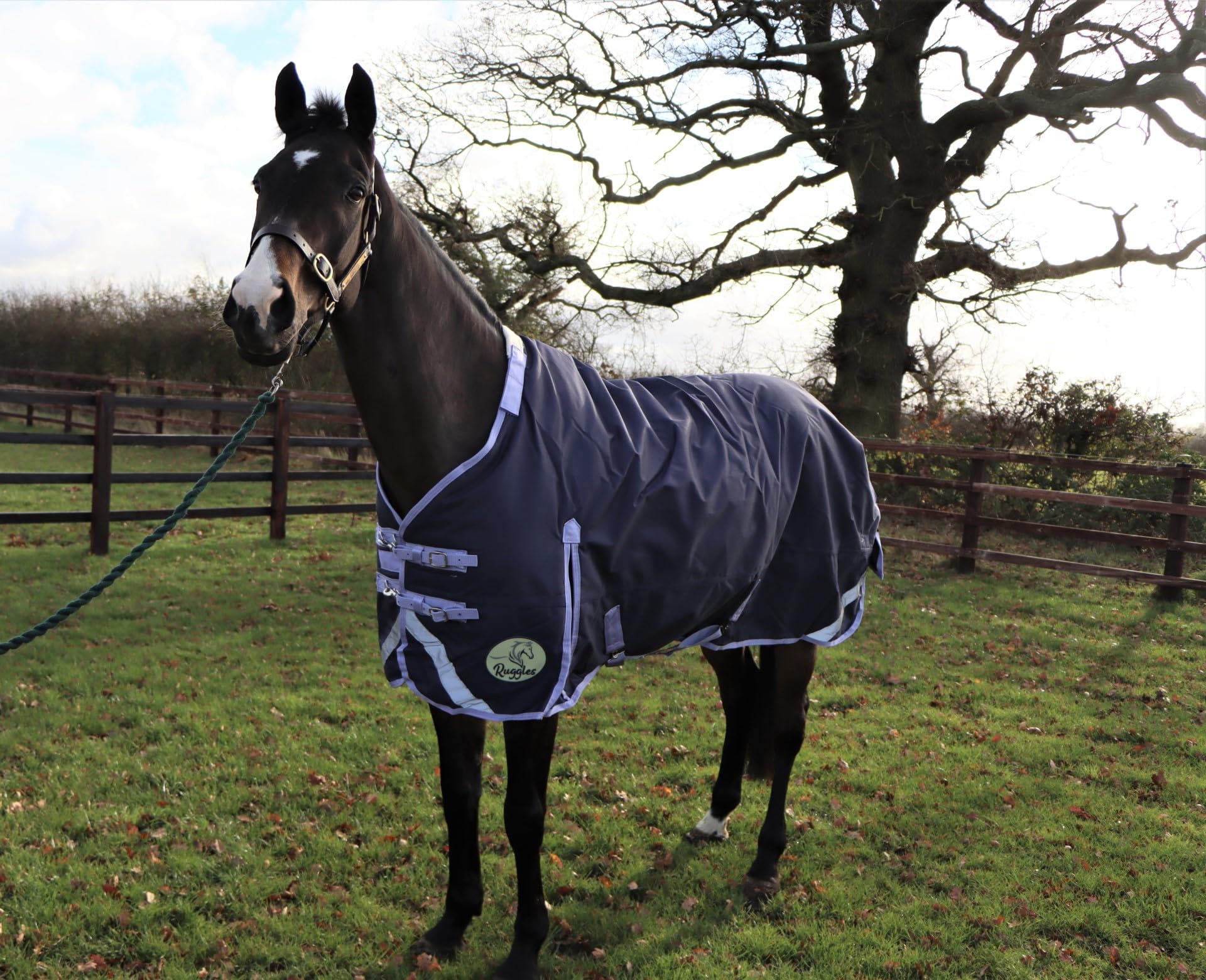 Ruggles 280g Middleweight Turnout Rug for Horse & Pony | Durable 1200D Teflon Coated Outer | Waterproof & Breathable | Anti Rub Lining | Perfect for Autumn Winter (Graphite 5' - 7') (5' 3", Graphite)