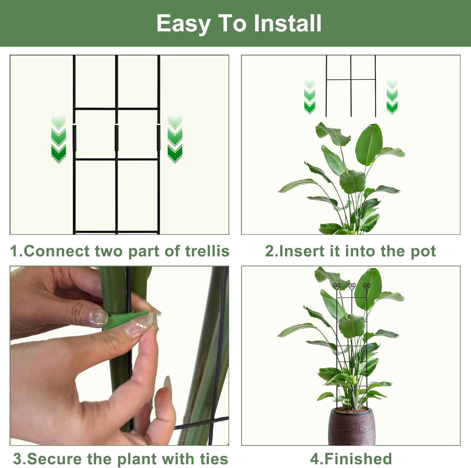 4 (Four) Monstera Plant Support Stakes for Indoor Plants, 2 (Two) Garden Trellis for Climbing Plants Outdoor and 2 (Two) Metal Plant Climber Support