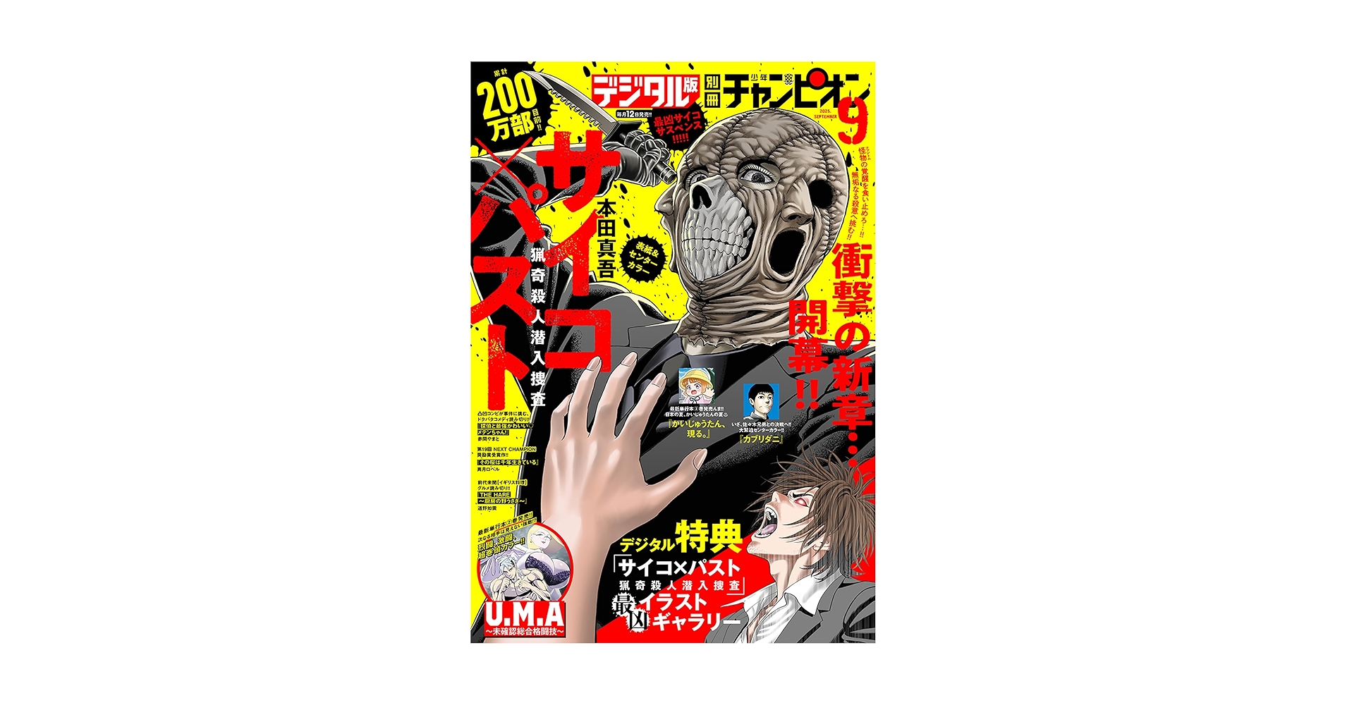 少年漫画 91PaLGRoPJL._UF350,350_QL50_.jpg