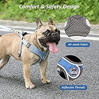 Vista 4 de Arnés para perro con correa, arnés ajustable sin tirones, arnés con chaleco acolchado transpirable para perros pequeños, medianos y grandes