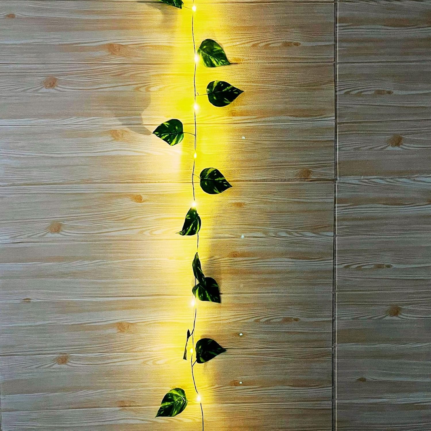 FLOROOM Decorative Money Plant Strings – Ideal for Home, Wall & Haldi, Pooja Decoration Setup 2
