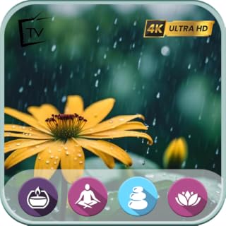 Calm Nocturnal Melody: Tranquil Rainy Night Ambiance for Stress Relief, Sleep, and Meditation For Fire TV - NO ADS