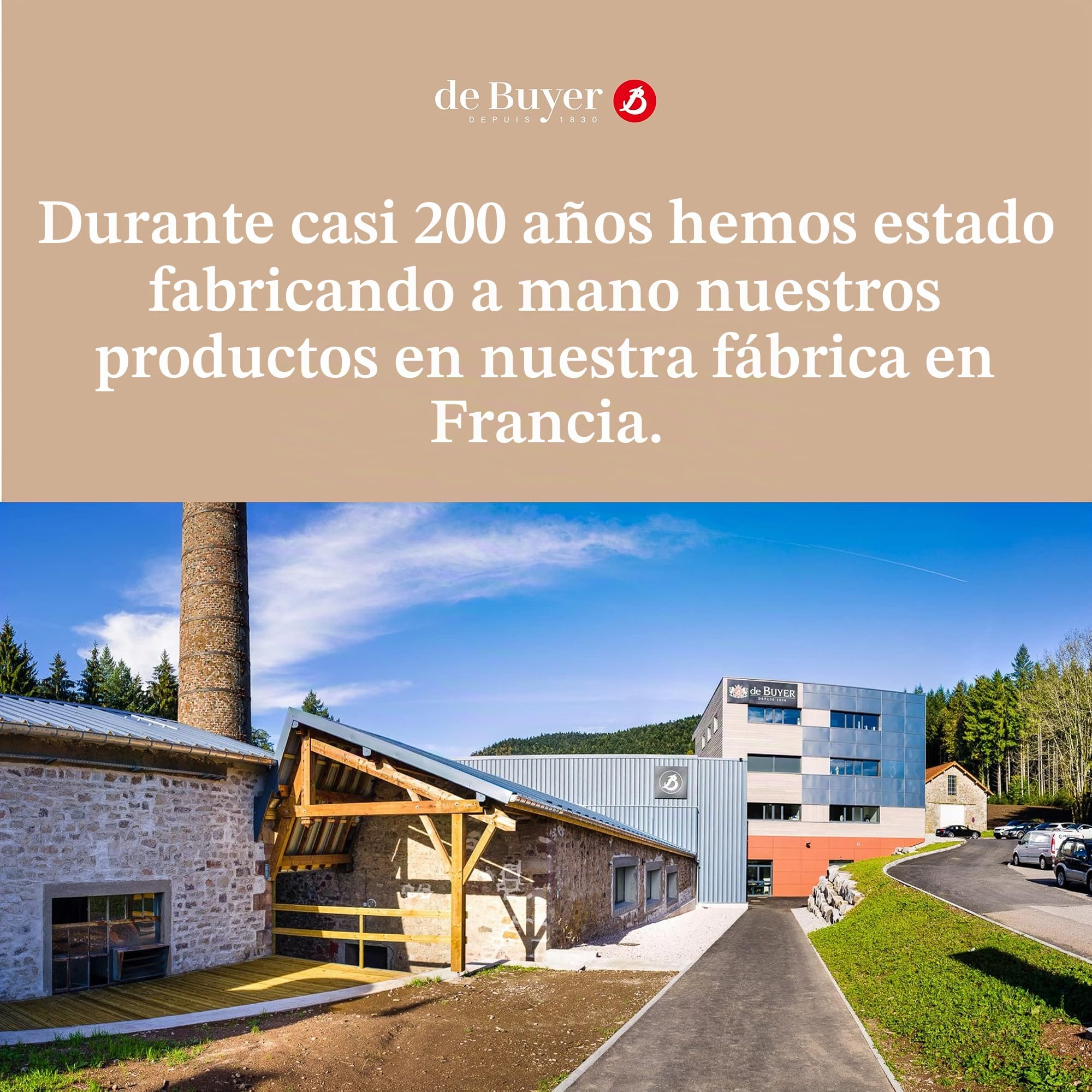 De Buyer, CAZO CON MANGO FUNDICION, INOCUIVRE , Ø 12 CM,-6460.12
