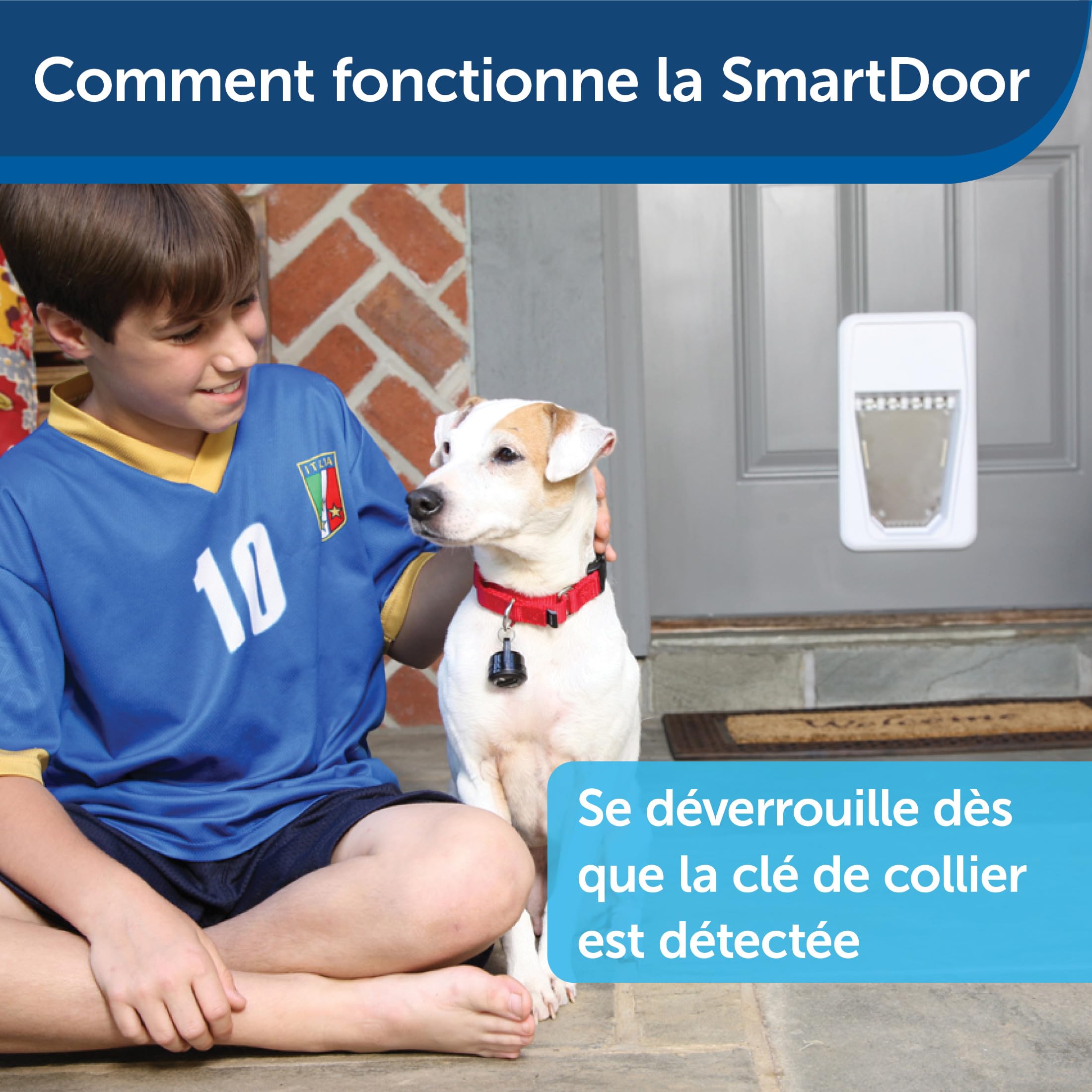 PetSafe - SmartDoor Porte Électronique pour Animaux de Compagnie - Technologie d'Accès avec Clé, Modes Programmables, Économe en Énergie - Grand