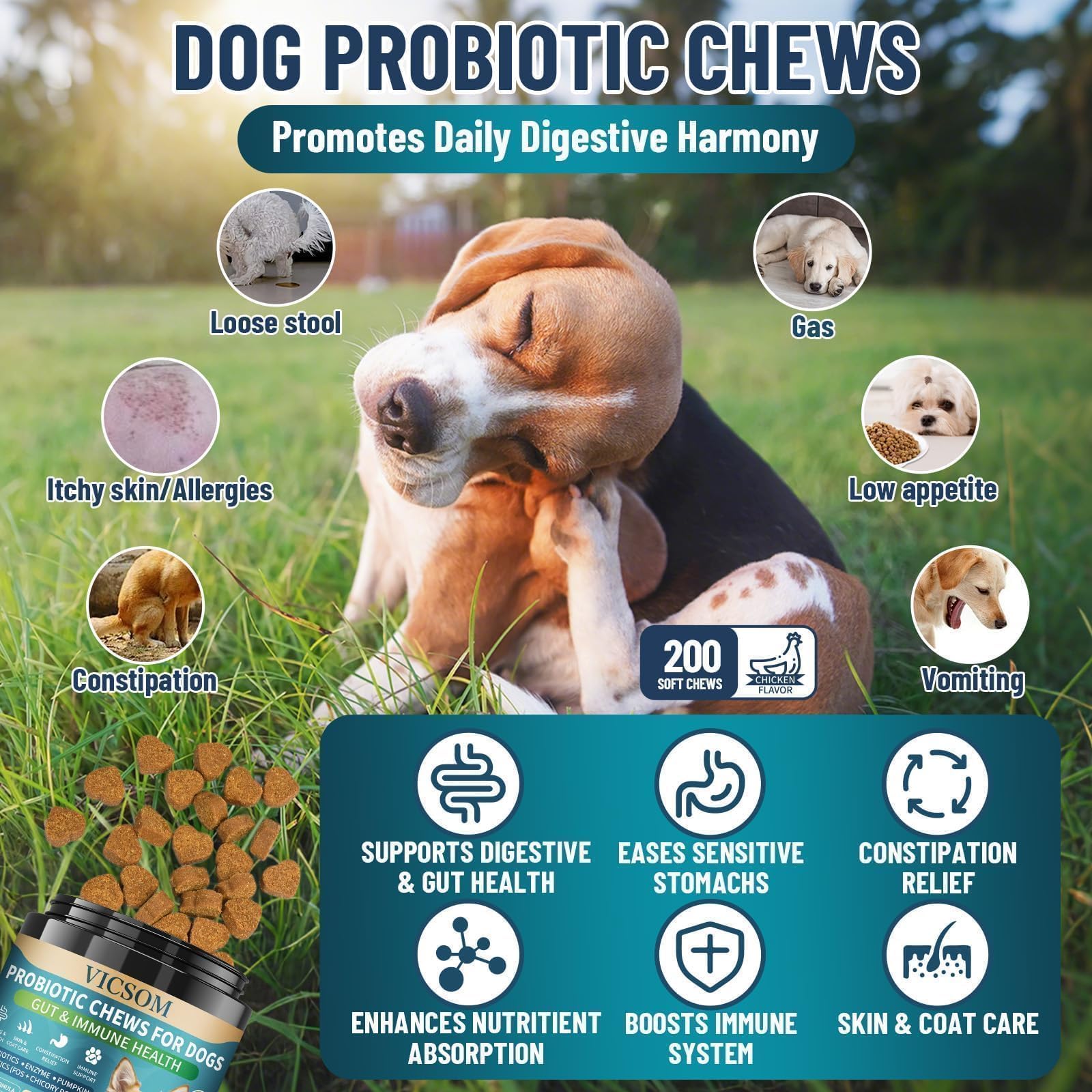 Dog Probiotics for Dogs, 200 Soft Probiotics Chews for Dogs Digestive Health Gut Health & Immune System, with 6 Probiotics & Digestive Enzymes, Support Itchy Skin, Constipation & Diarrhea Relief - image 2