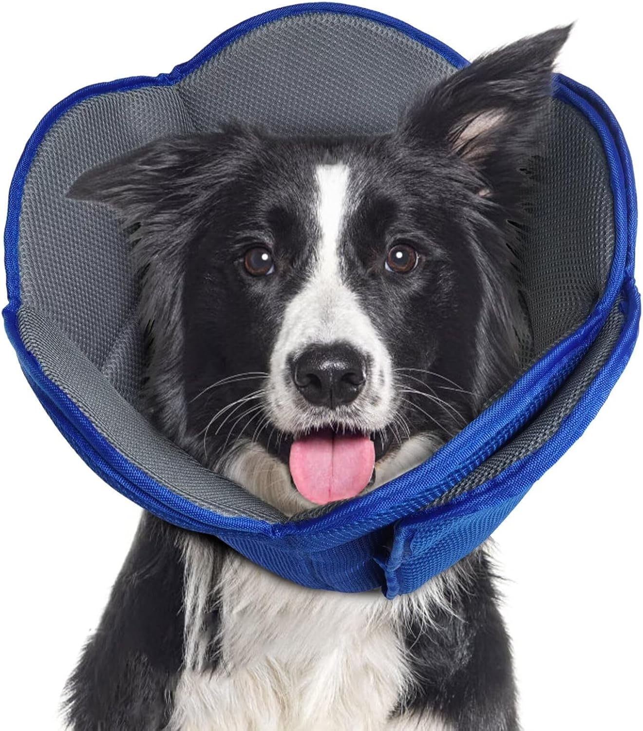 Dog Cone After Surgery - Adjustable Protective Recovery Collar for Large, Medium, Small Dogs & Cats - Comfy Soft Cone Prevents Pets Touching Stitches, Rashes, Wounds - Blue, XL