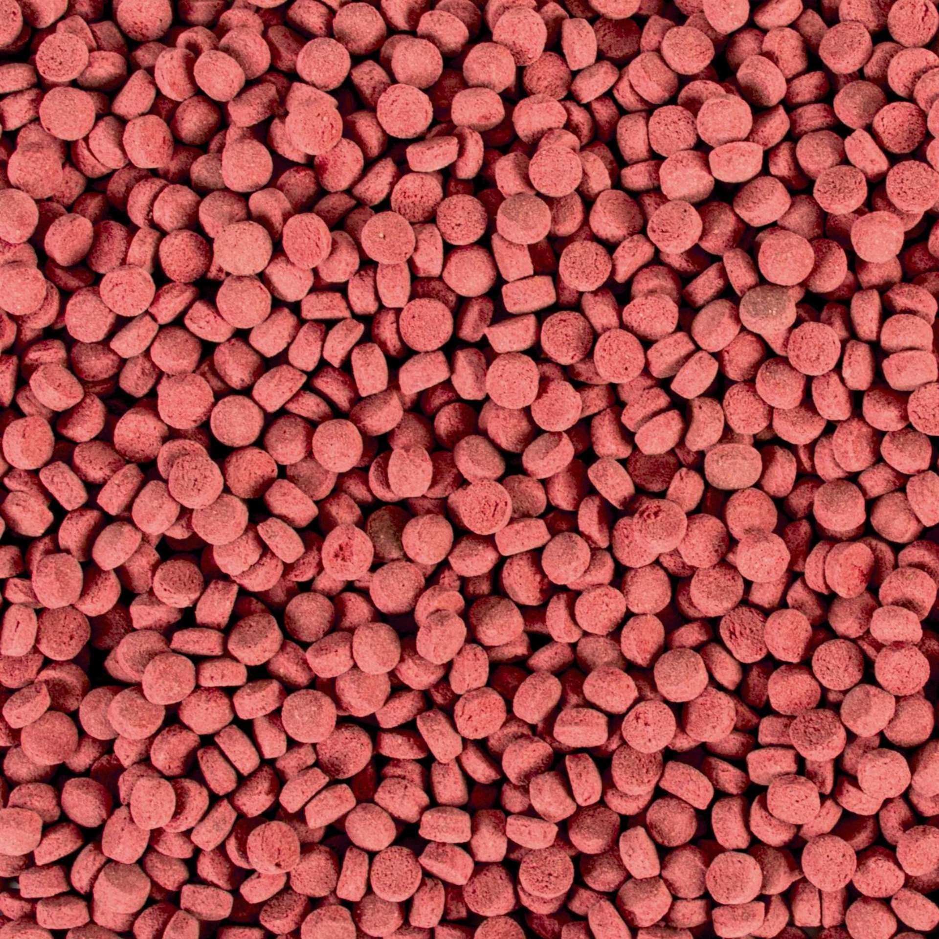 Tropical Krill Gran XXL 5L Futter für Süßwasser- und Meeresfische, 2.5 Kilogramm, Geschmacklos, Fischfutter, Fischhalter, Fische