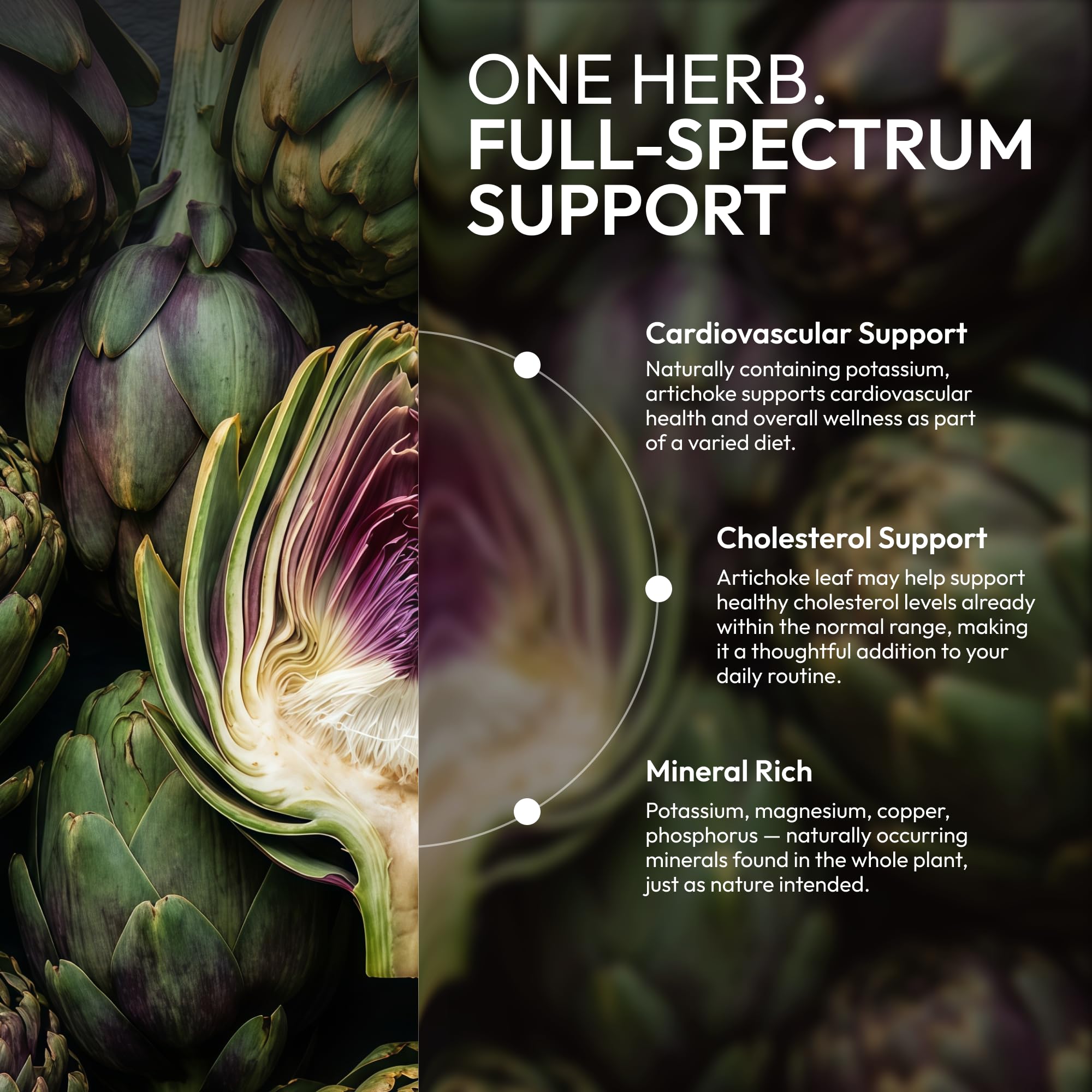 Secrets of the Tribe Organic Artichoke Liquid Extract for Liver Support & Digestive Health | USDA Certified | Antioxidant Herbal Supplement | Alcohol-Free | Cynara scolymus Dried Leaf | Drops 2 fl oz — Amazon image 6