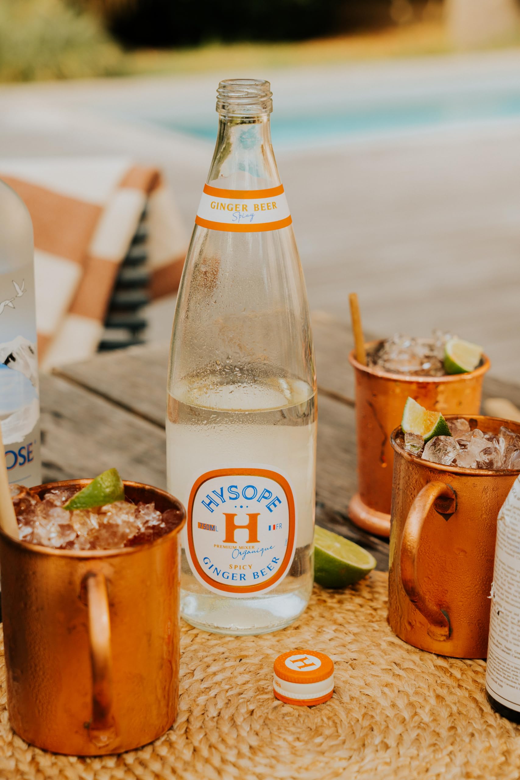 HYSOPE Ginger Beer Spicy – Origine France – Premium Mixer Bio – Idéal en cocktail - Notes de gingembre corsé & pointe de piment - 6 x 75cl