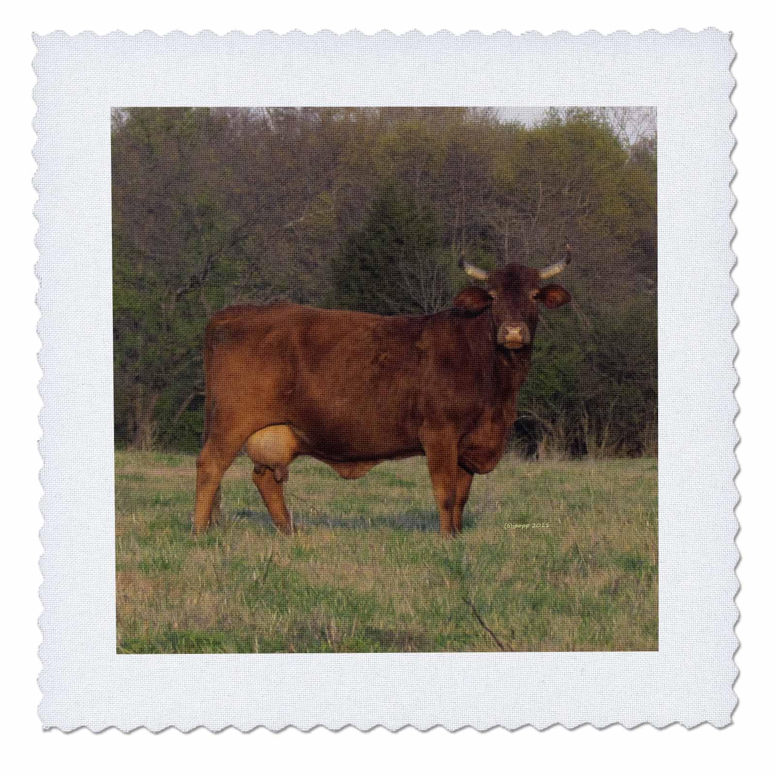 6x6 inch Quilt Square - Cow on The Green Nature N Wildlife Animals