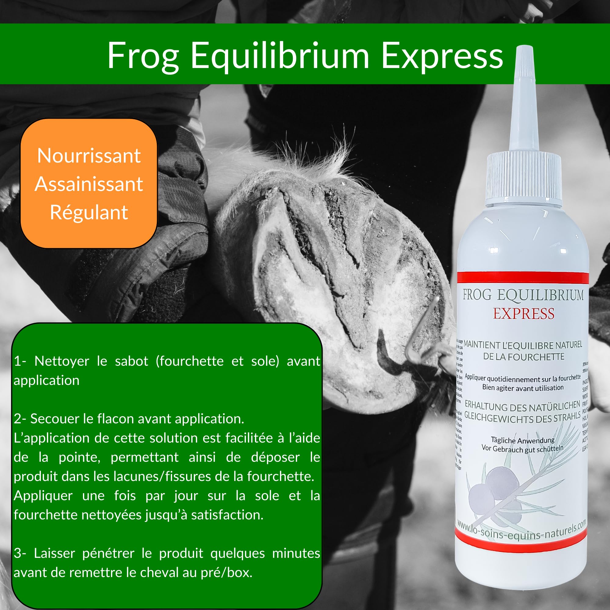 Frog Equilibrium Express - Soin Naturel réparateur et Protecteur des fourchettes pour Cheval - Retour Rapide à l'état physiologique (125 ML)