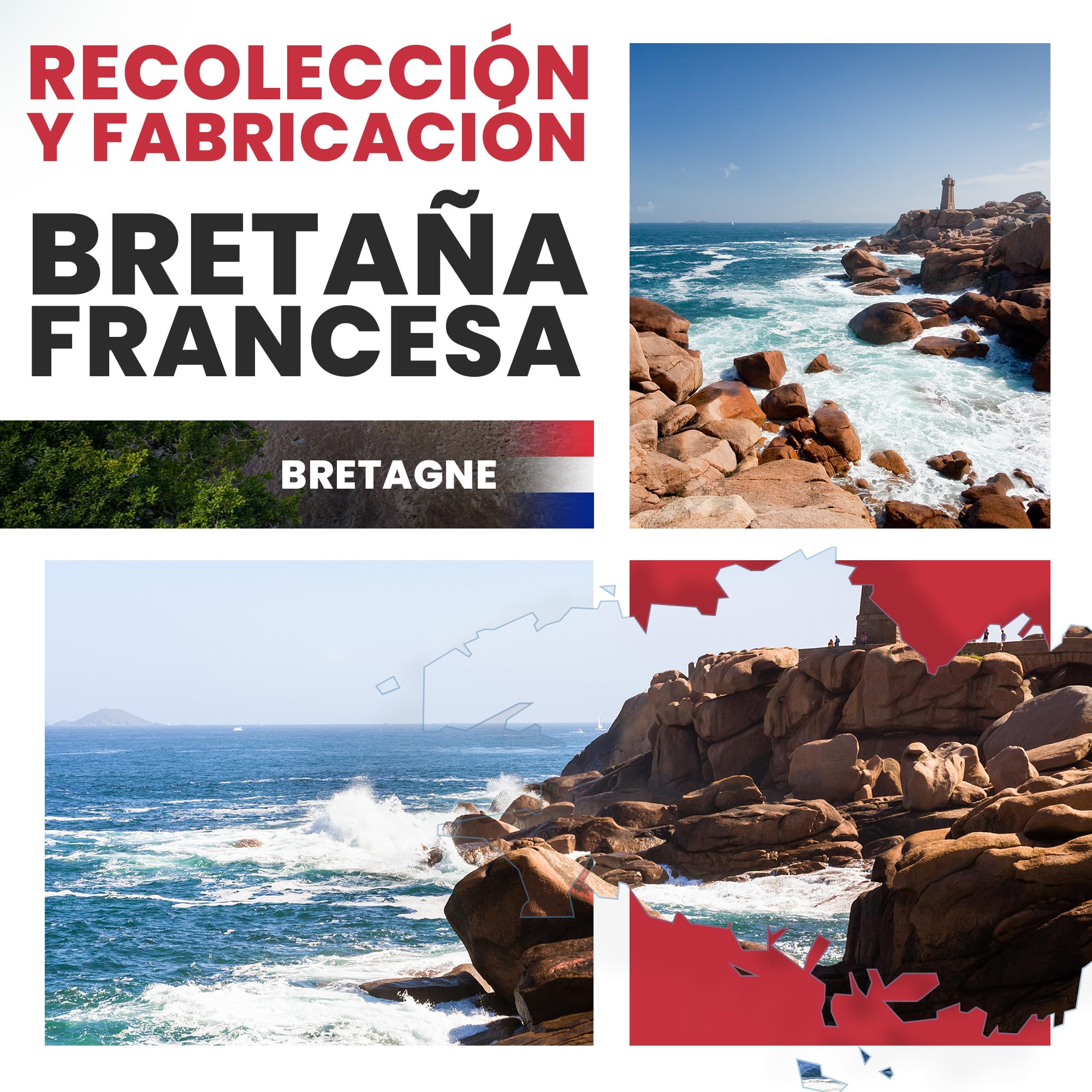 Barro de Algas Anticelulitico: Combate Celulitis y Flacidez Corporal. Efecto Reafirmante y Resultados Visibles. Fango Profesional SPA Tratamiento de Choque - Ready To Use - 6000 g 6 kg