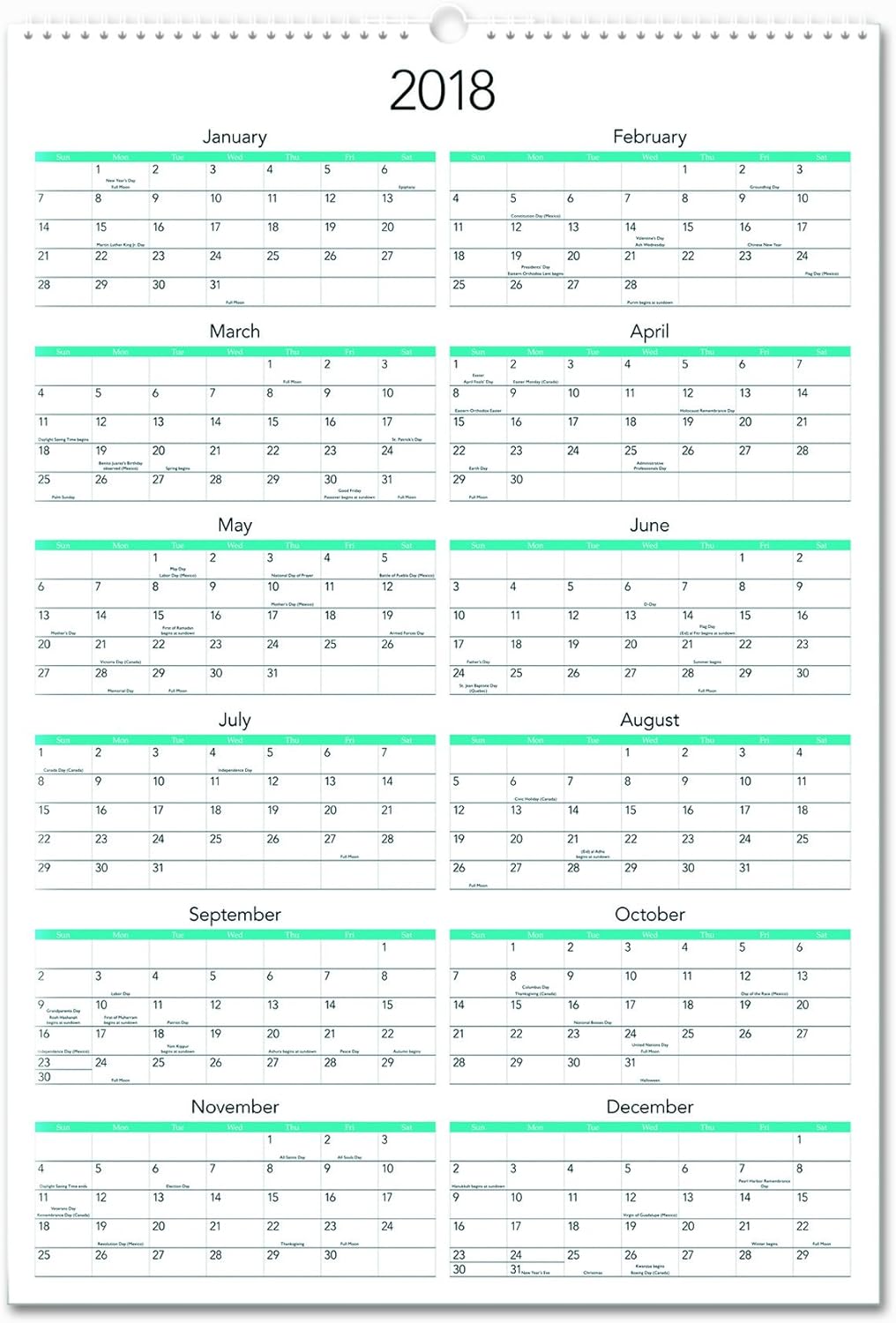 AT-A-GLANCE DMW16728 Puppies Monthly Wall Calendar, 15 1/2 x 22 3/4, 2016