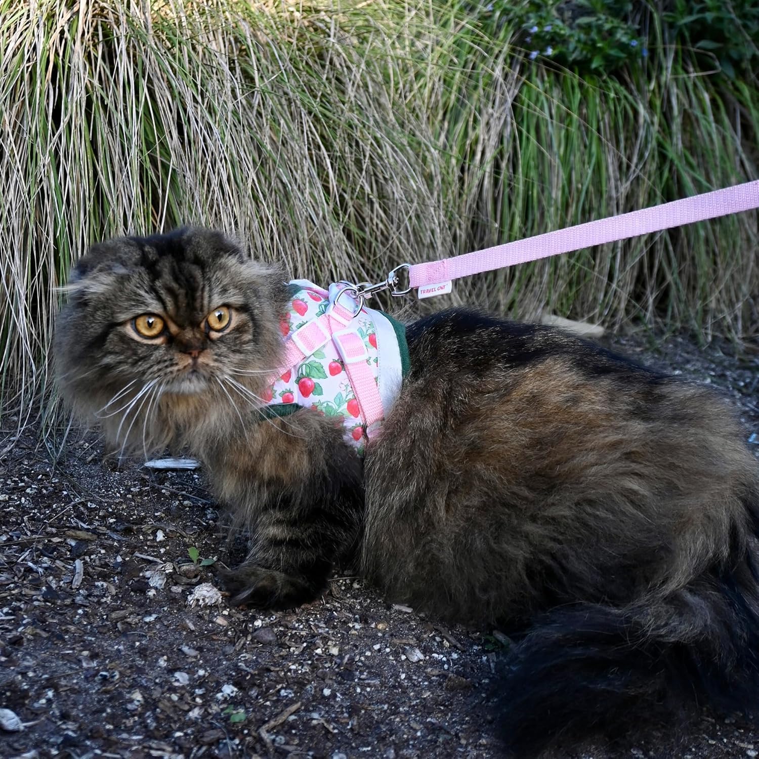 Travel Cat Set di pettorina e guinzaglio con motivo fragole, regolabile, in rete, con cinghia riflettente, per gatti, gattini, per attività all'aperto (torta alla fragola, grande)