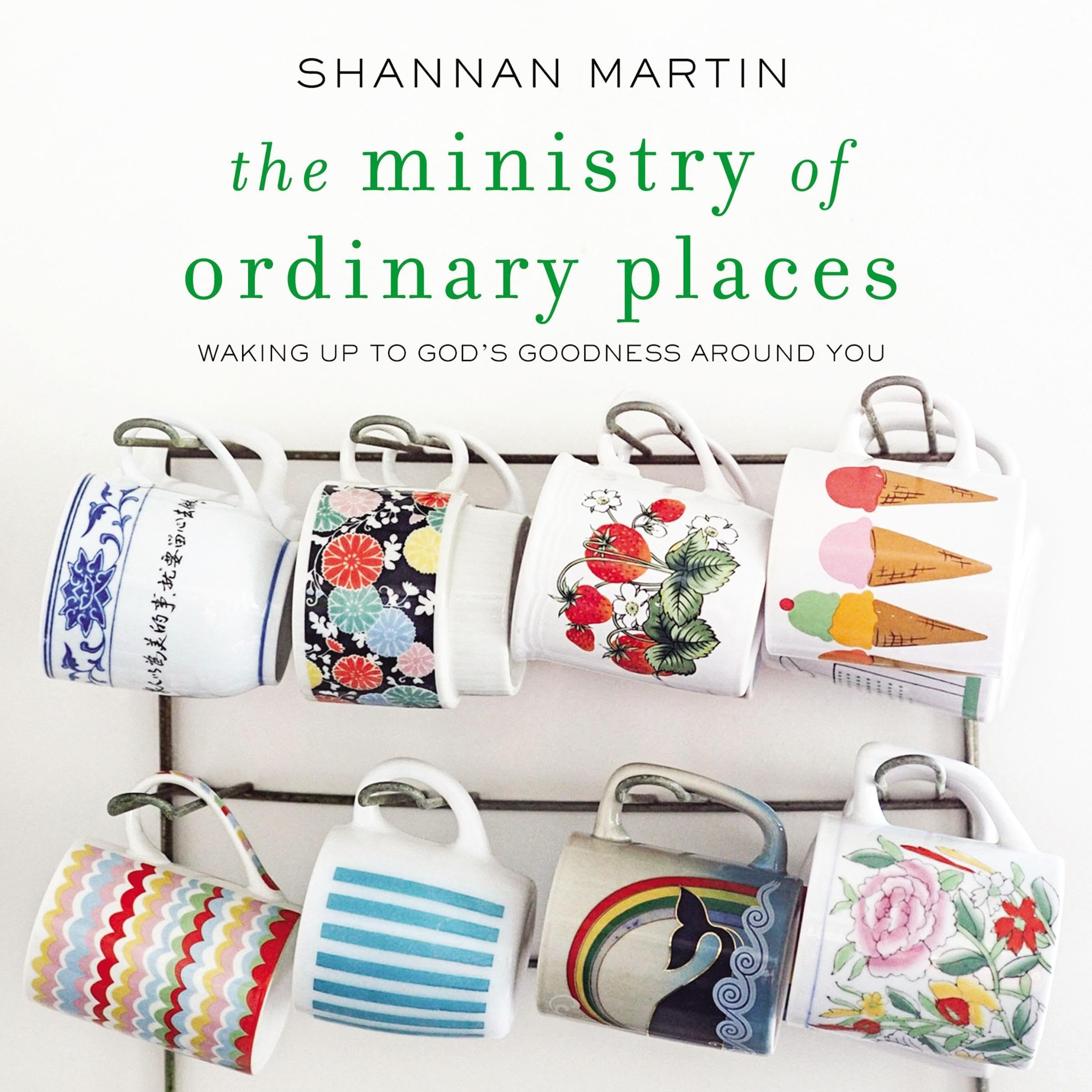 Cover art for The Ministry of Ordinary Places