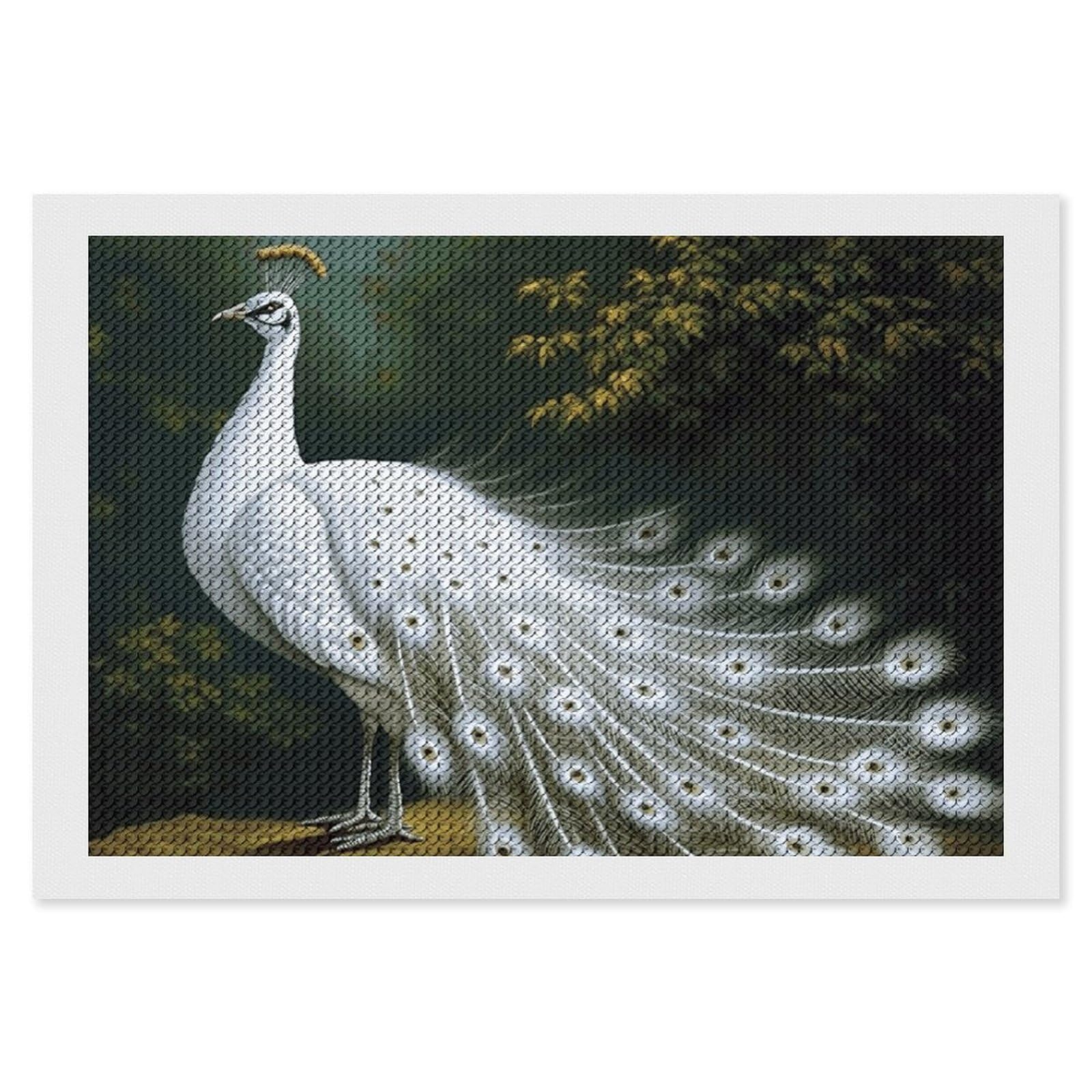 NONHAI Diamond Painting Kits for Adults - DIY Diamond Art Kits for Beginners - Full 5D Paint Drill Diamond Dots Paintings- White Peacock Diamonds Pictures Gem Art and Craft Wall Decor 8"x12"