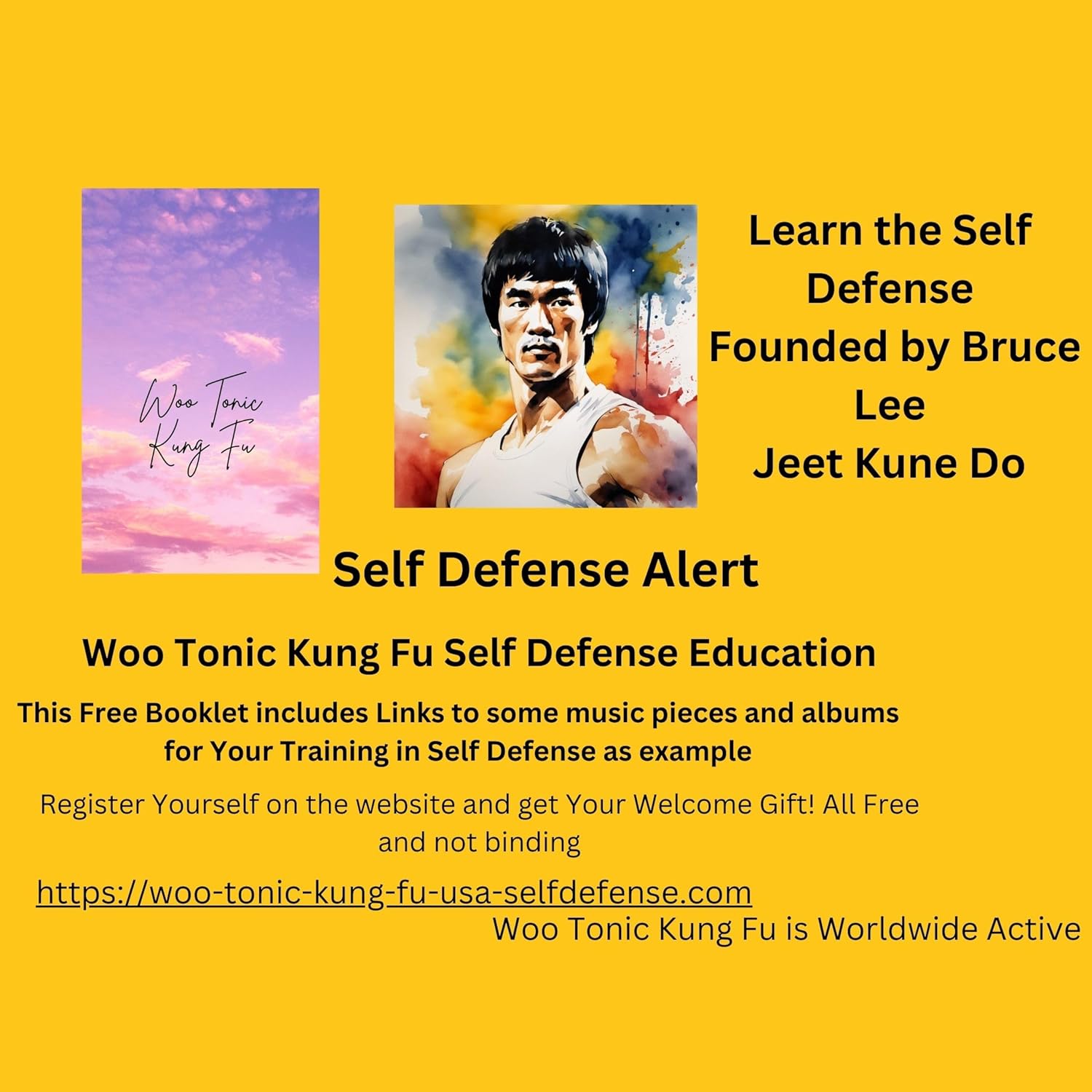 Woo Tonic Kung Fu EBook Self Defense Alert! eBook Schmid