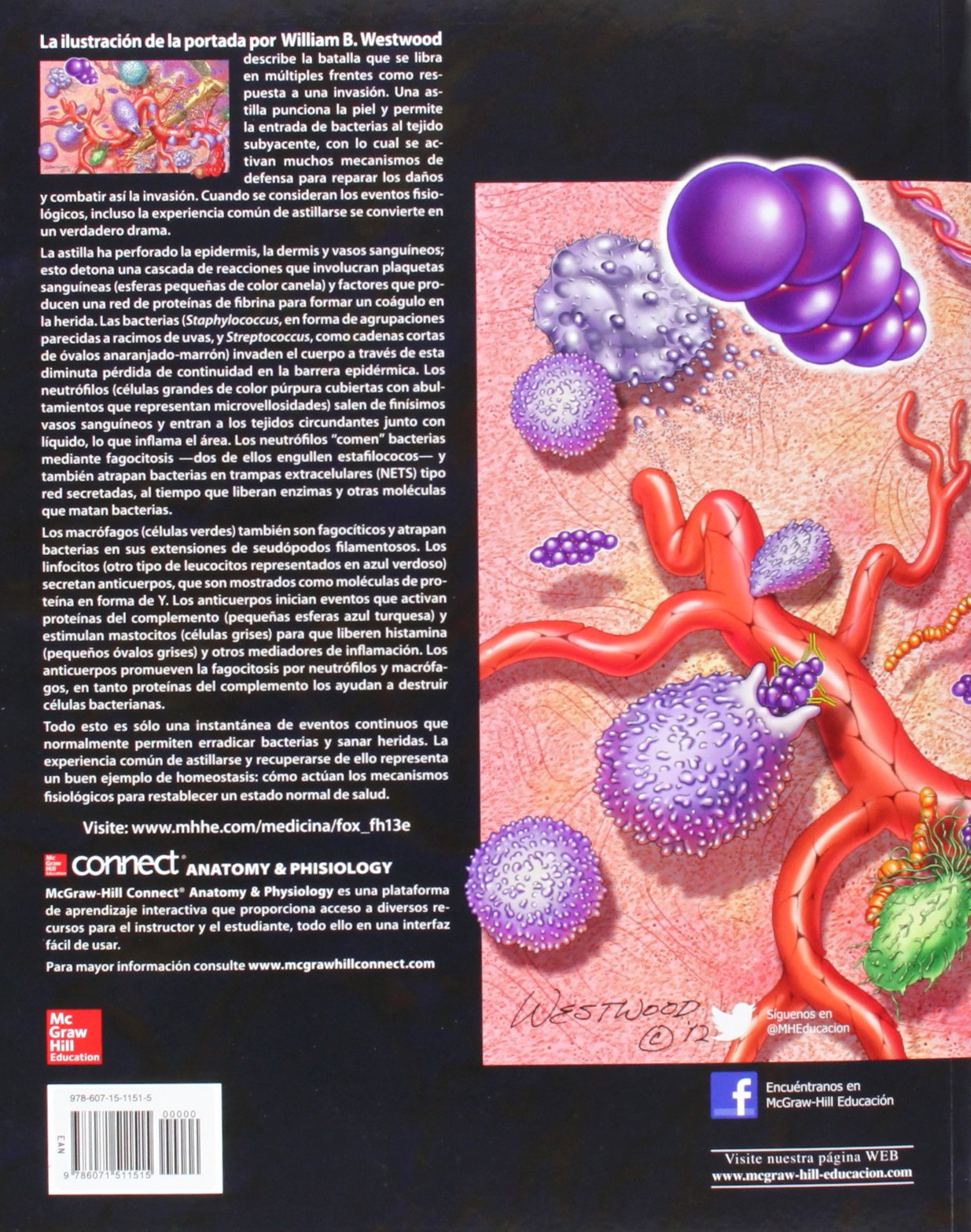 FISIOLOGIA HUMANA