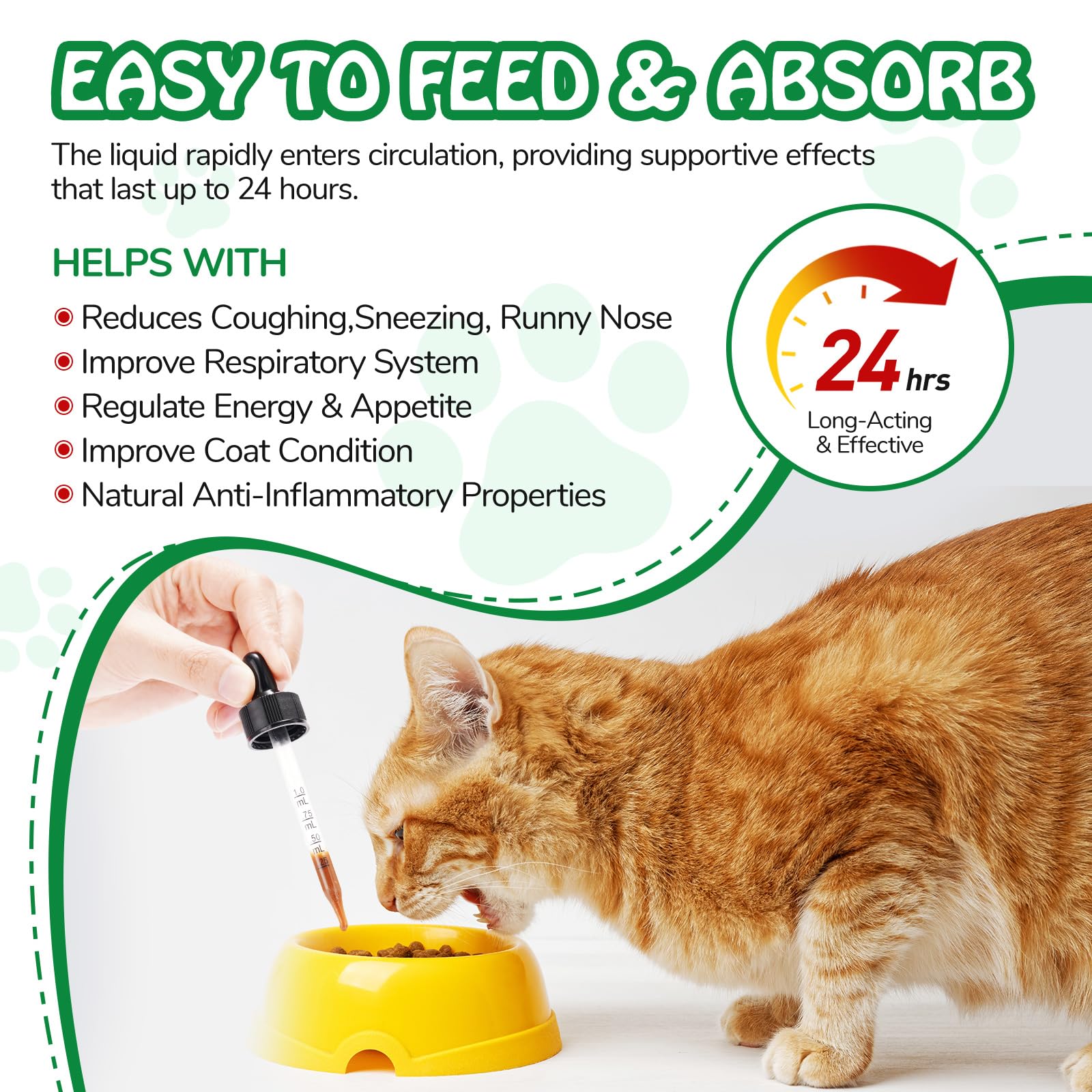 Antibiotiques naturels pour Chats, antibiotiques pour Chats, cystite, Soutien Immune & Cats Allergy Itch Relief, Health Supplies Cat UTI Antibiotiques, 60 ML (1PC)