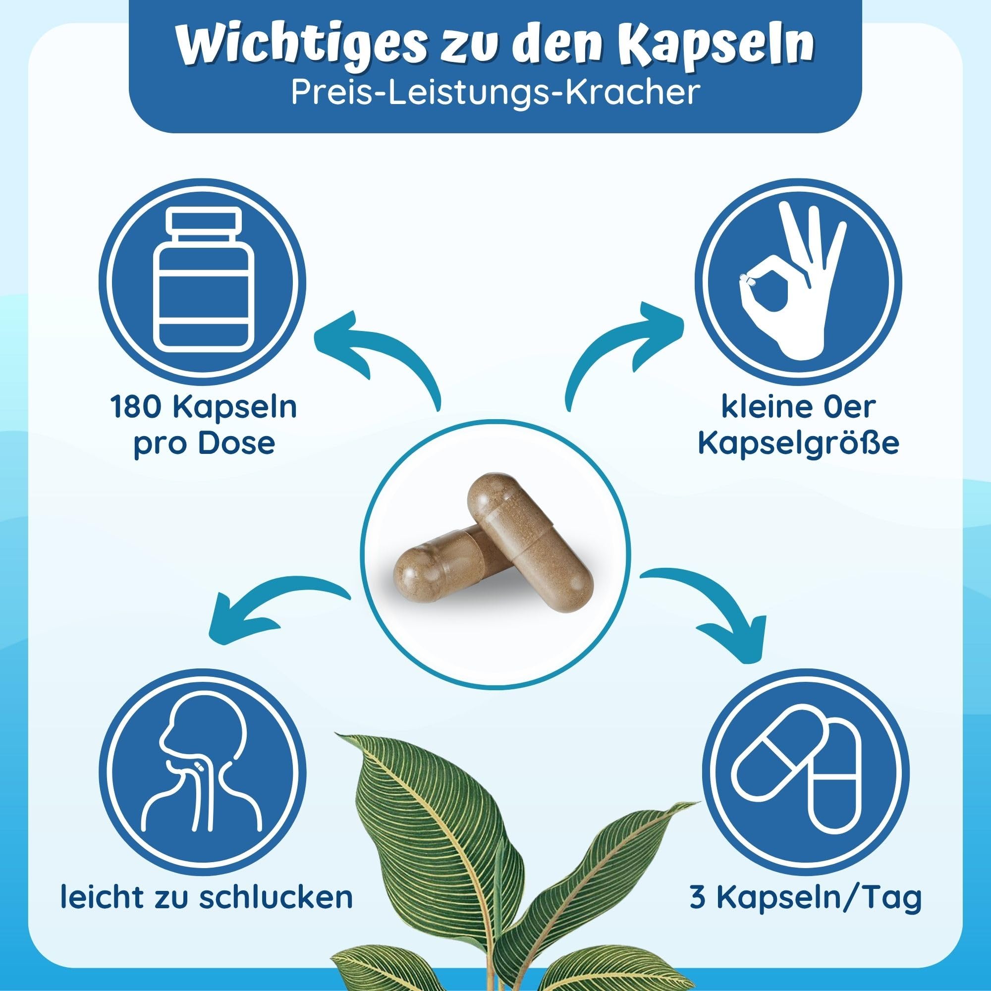 Wasser Komplex - 180 Brennnessel Extrakt Kapseln mit Petersilie Wacholderbeeren Löwenzahn Magnesium sowie Kupfer für das normale Bindegewebe - ohne chemische Entwässerungstabletten stark von loodus®