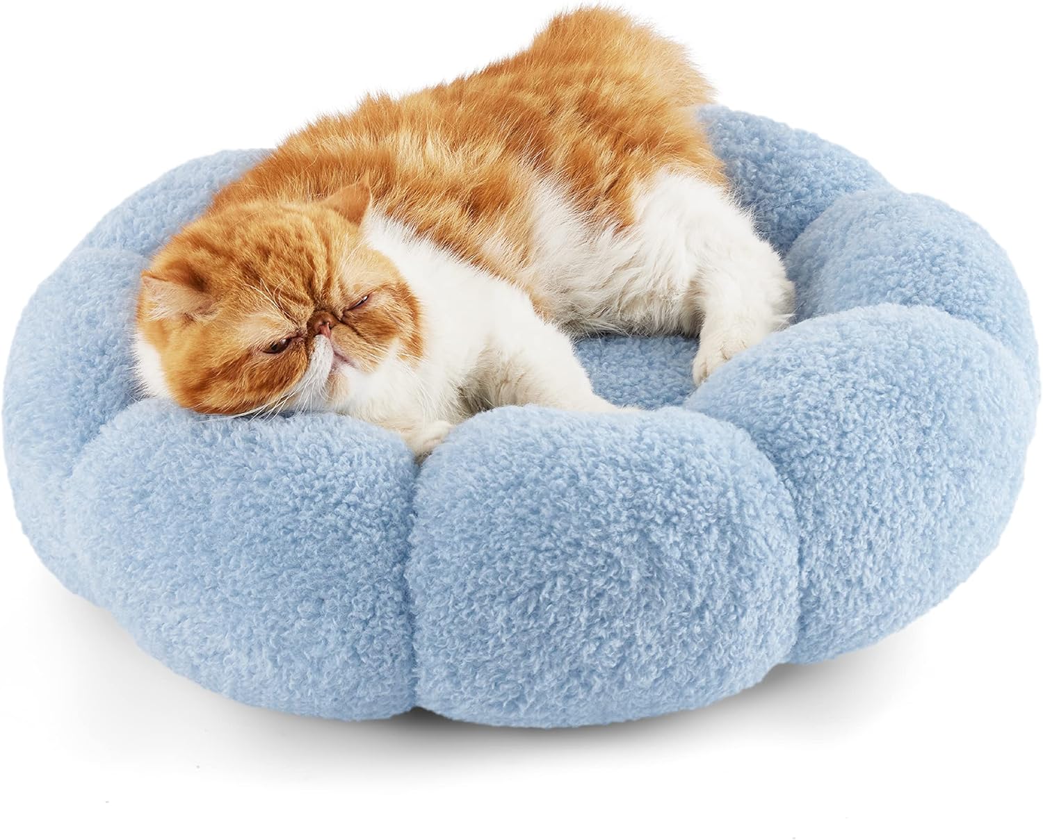 Lesure Calming Cat Beds for Indoor Cats Cute Flower Pet