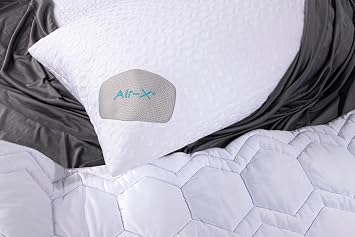 Bedgear Dri-Tec Performance Pillow Protector, Moisture-Wicking Cooling Pillow Cover with Airflow Technology | Breathable, Protective Pillowcase with Zipper | Machine Washable Pillow Protector, Queen