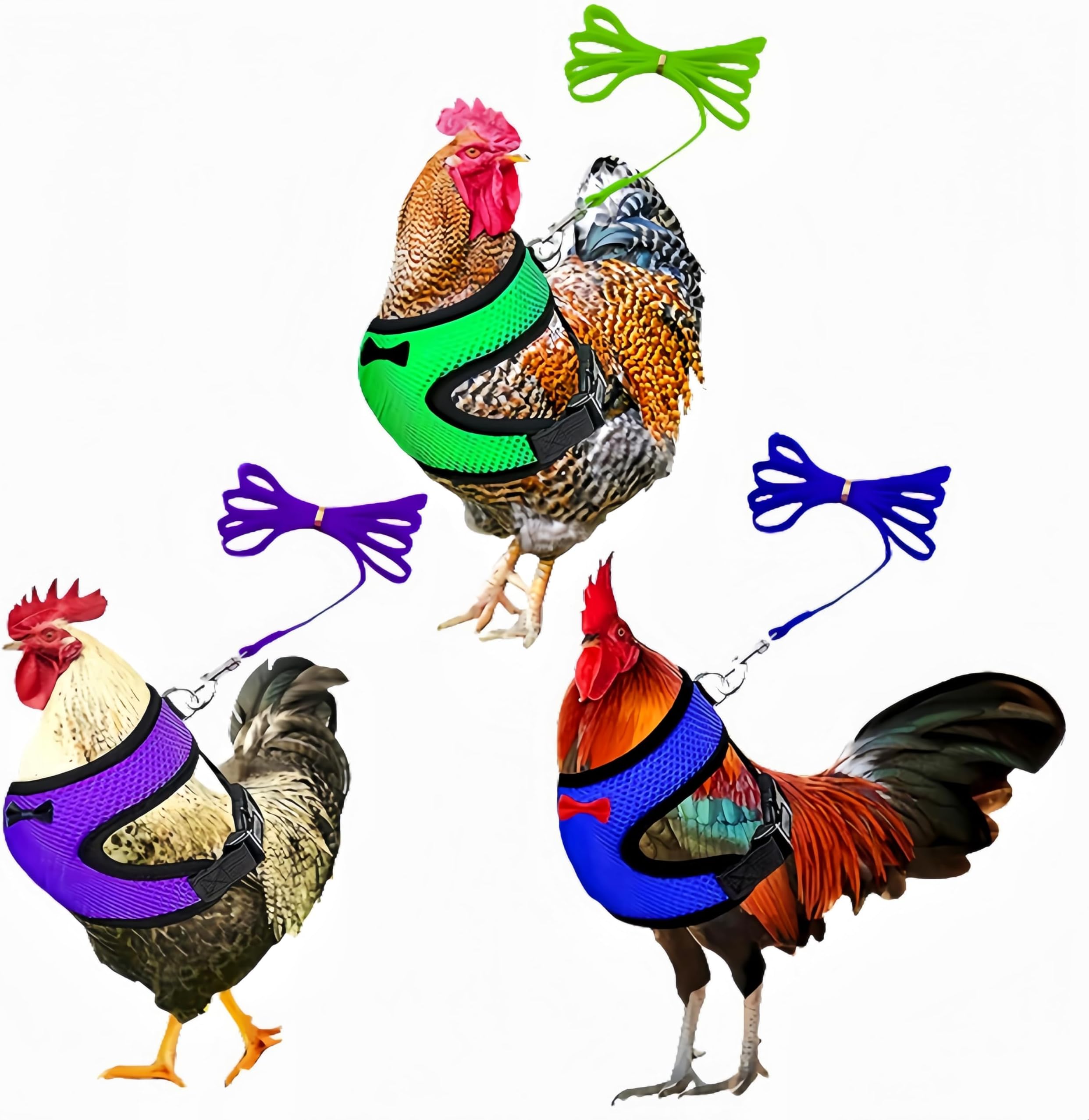 3 Pack Chicken Harness and Leash Set Adjustable Hen Vest with Matching Belt Breathable Mesh Training Harness Pets Leash for Hens Duck Goose Small Pet-Green&Purple&Blue,S