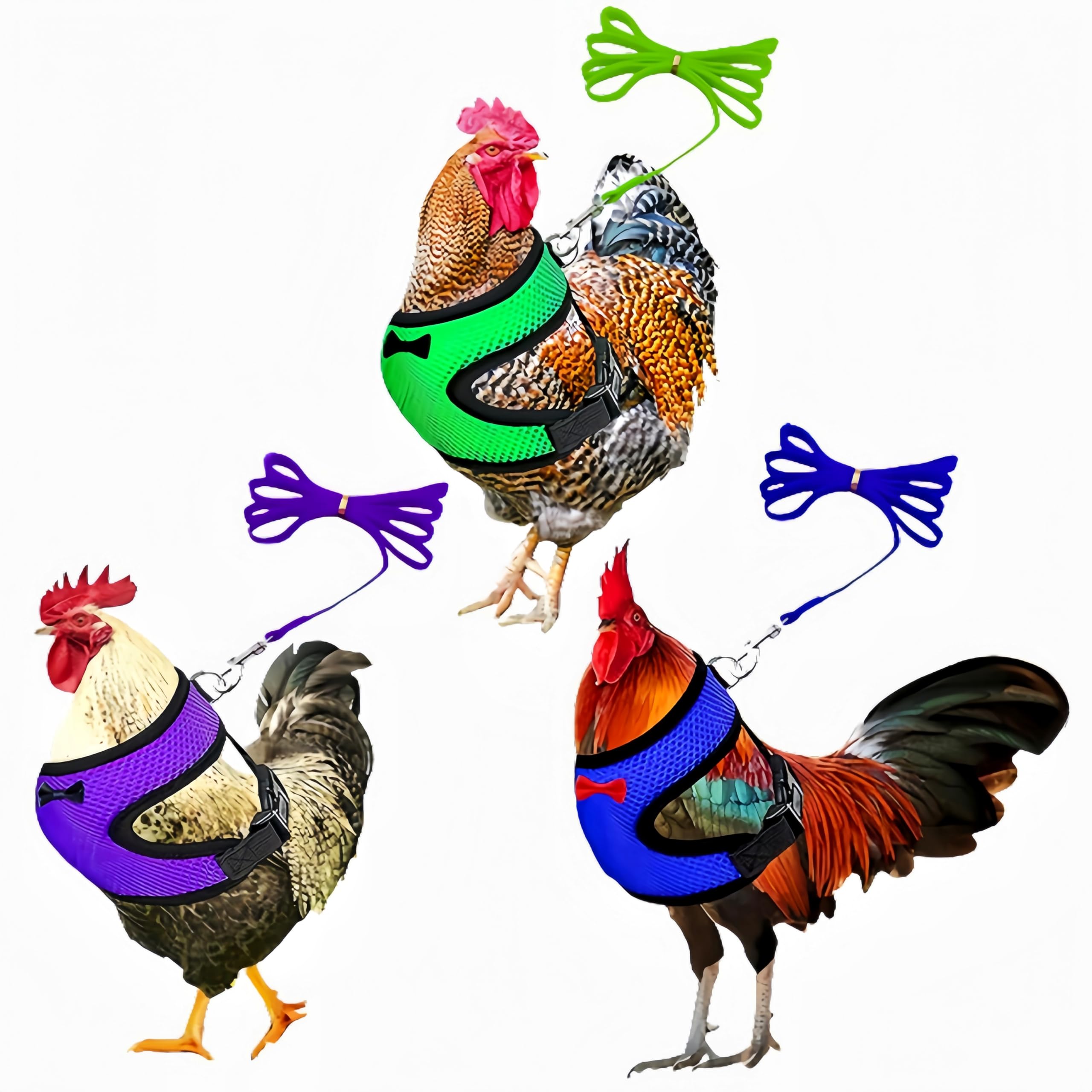 3 Pack Chicken Harness and Leash Set Adjustable Hen Vest with Matching Belt Breathable Mesh Training Harness Pets Leash for Hens Duck Goose Small Pet-Green&amp;Purple&amp;Blue,S