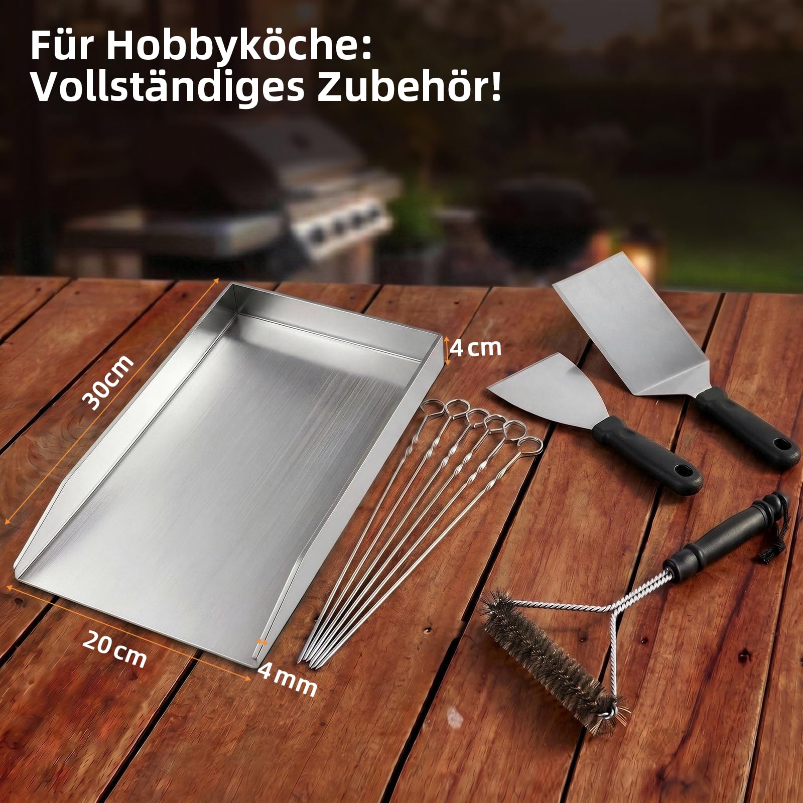 SMOOL Plancha de acero inoxidable de 30 x 20 cm, para barbacoa de gas, | Barbacoa de carbón y parrilla eléctrica, juego de plancha con espátula, brochetas y cepillo de limpieza para camping y