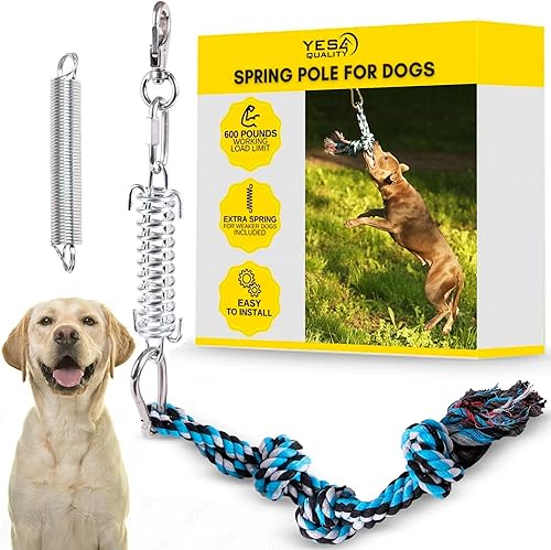 YES4QUALITY Poste de coqueteo para perros, 2 postes de resorte duraderos con cuerda fuerte para perros, poste de señuelo resistente para perros de
