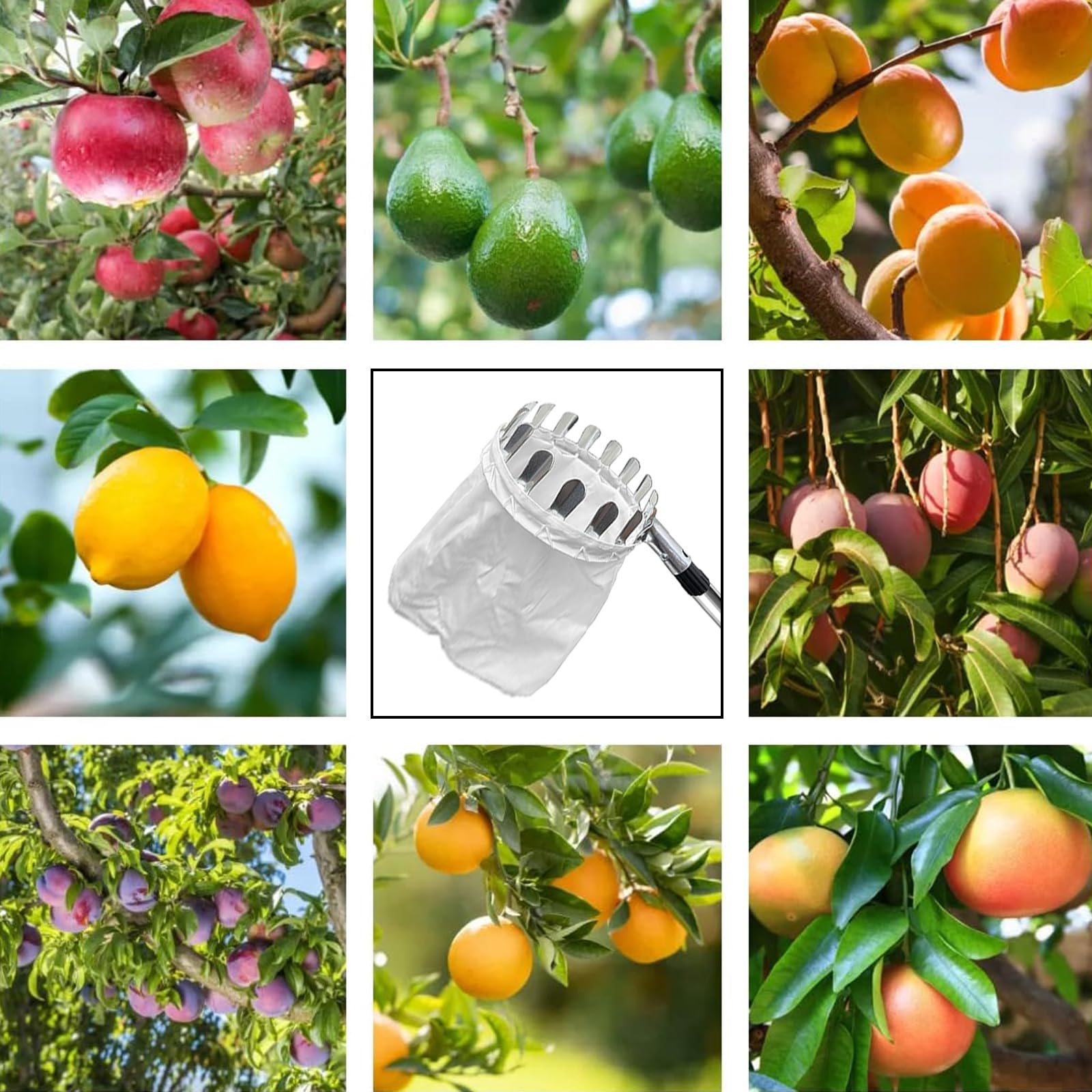 Raccoglitore di Frutta da 4.2m con Manico telescopico-Raccoglitore di Mele con Sacchetti di Tessuto,Raccogli Frutta Regolabile in Altezza per Limoni,Mele,Pere,Pesche,Manghi Arance.