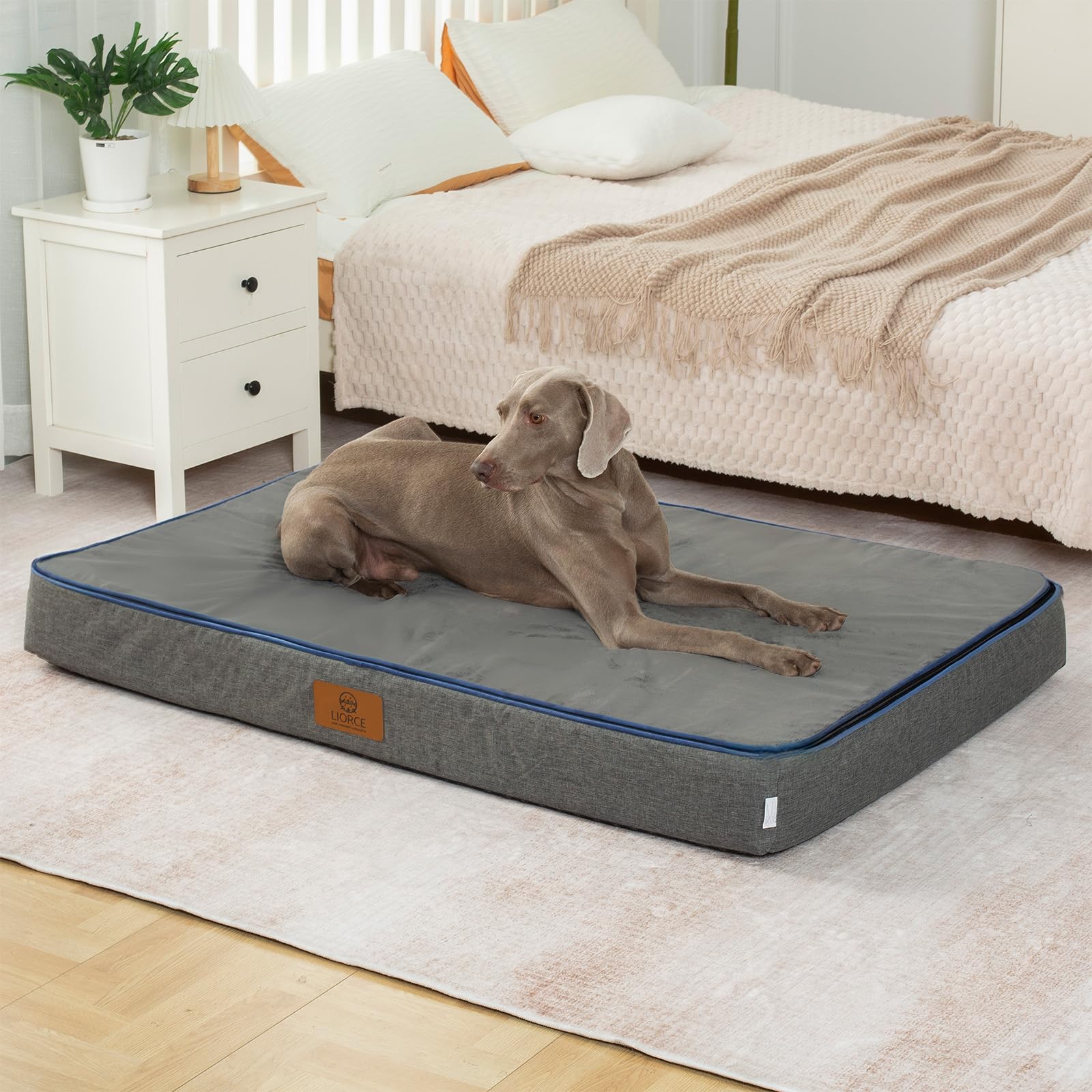 Orthopedic Memory Foam Giant Dog Bed - 6" Thick Beds for Large Sized Dog - Waterproof Removable Washable Cover & Wrap-Around Zipper - Ultimate Comfort & Easy Maintenance, Dark Grey