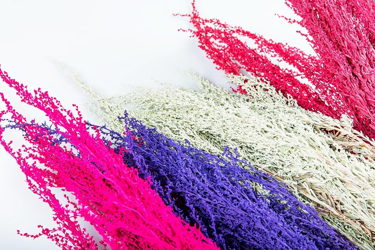Fresh Silver Sage Wedding Mixed Variety in Season for Wedding Event Everyday Long Lasting Easy to Use Trendy