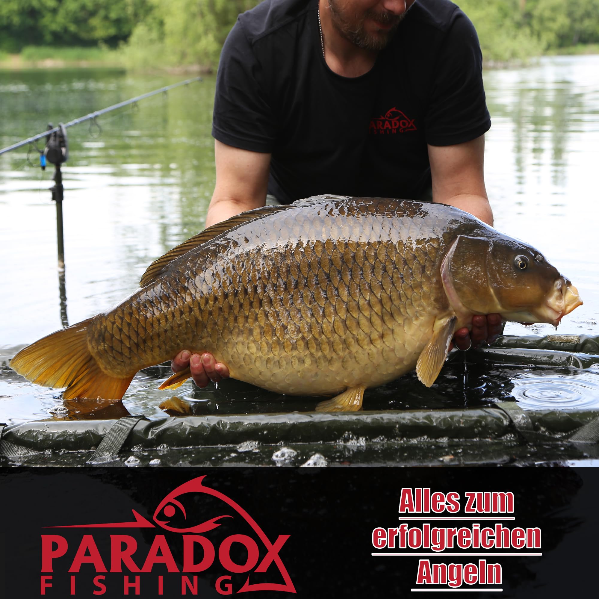 Paradox Fishing Karpfenrute CarpXpert 12ft 3,60m 3 LBS 3-teilig mit 5000 Carp Runner Karpfenrolle – Karpfen Angel Karpfen Rute