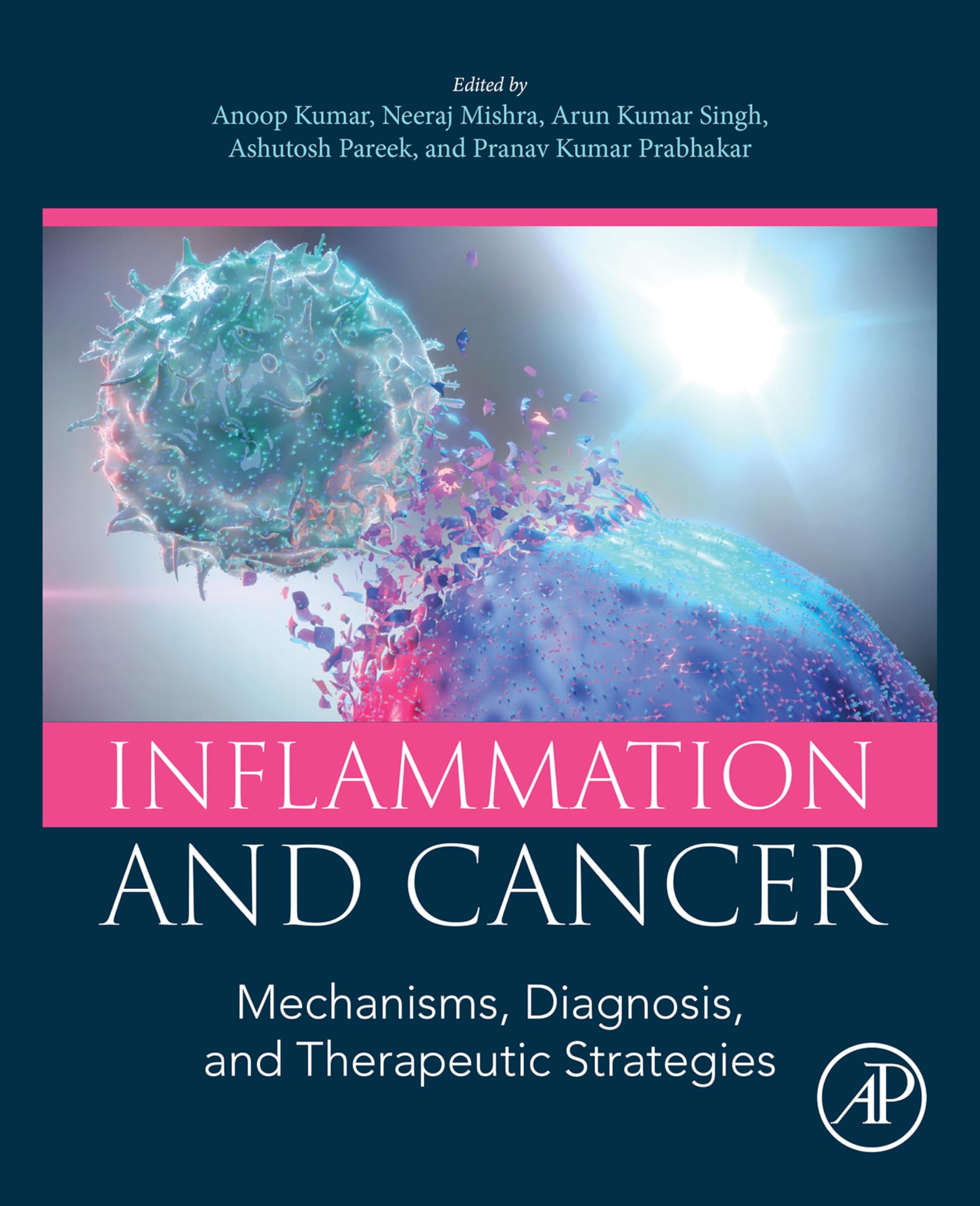 Inflammation and Cancer: Mechanisms, Diagnosis, and Therapeutic Strategies (English Edition)