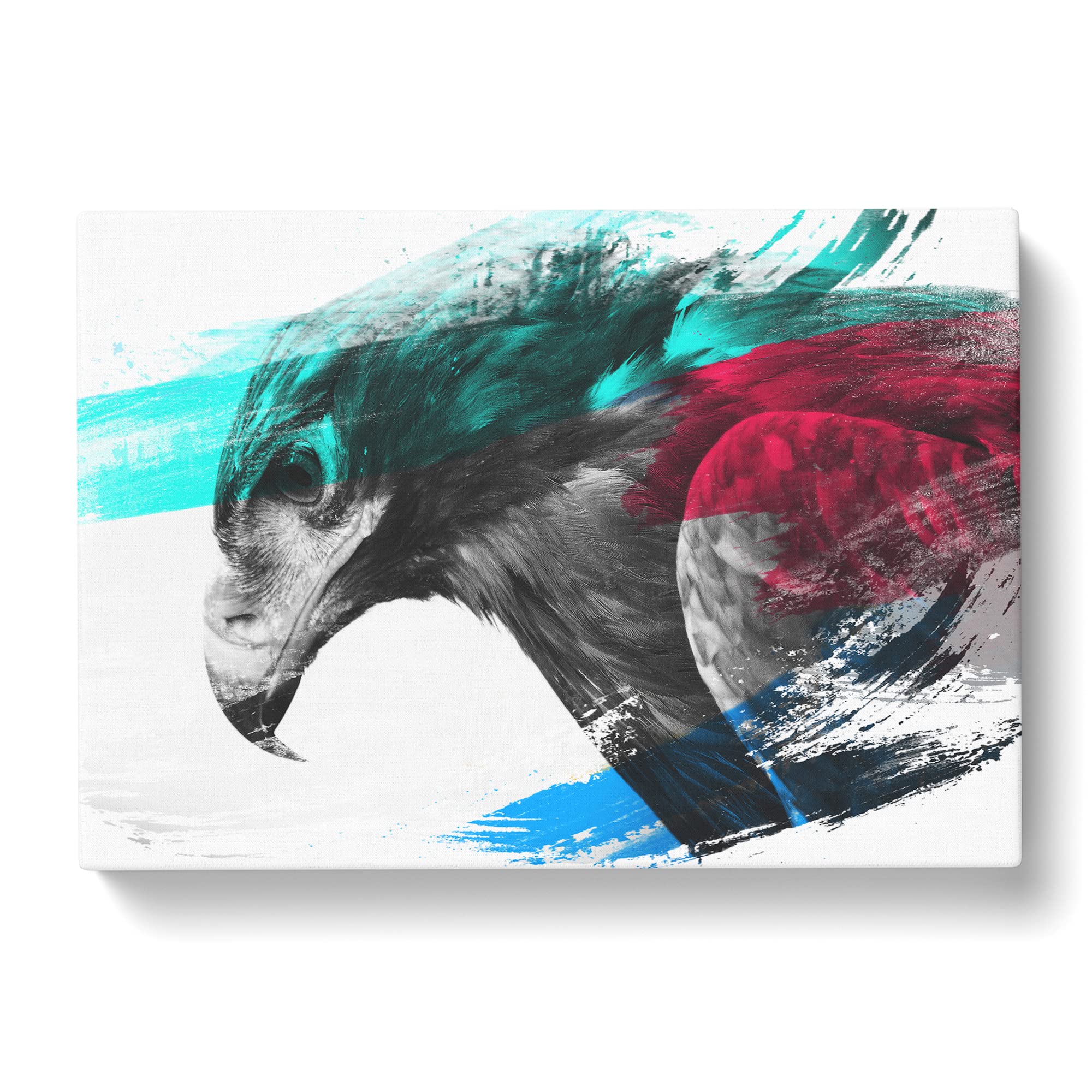 Eagle Bird No.3 V2 Canvas Print, Mixed, 25L x 50W cm - Image 2