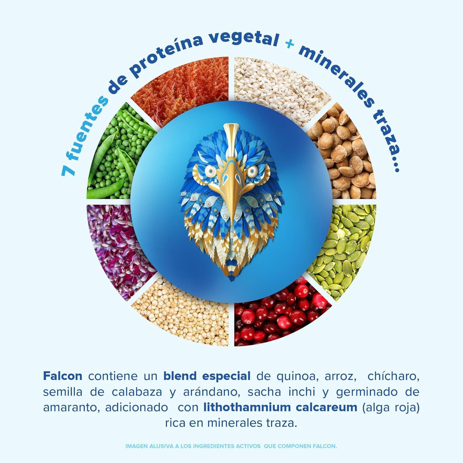 Birdman Falcon Protein Proteina Vegetal Organica En Polvo (Vegana) Certificada USDA, 22gr Proteina por porción, Sin inflamacion, Sin acne, Sabor Vainilla | 39 servicios | 1.170Kg