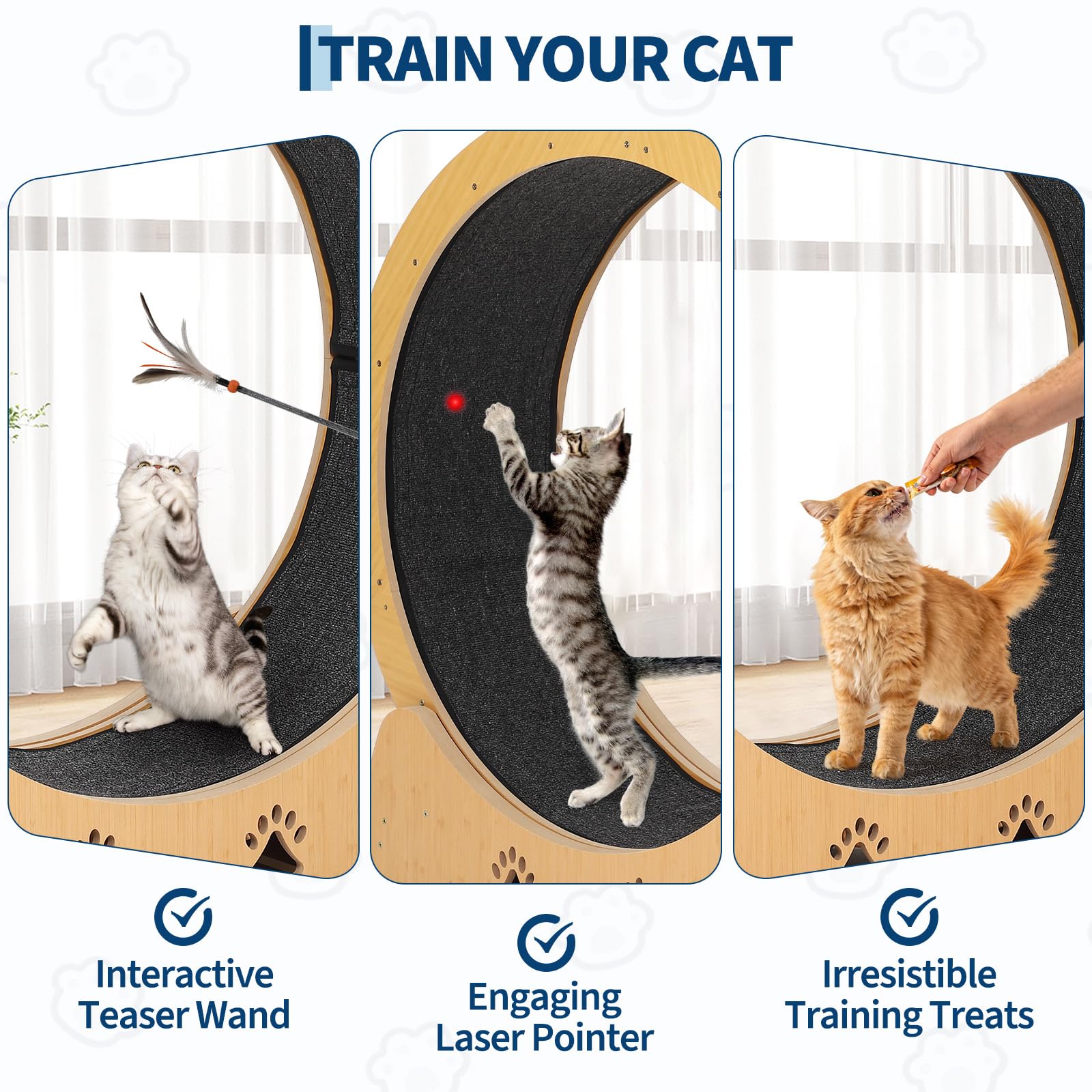 Rueda de Gato XXL de 87 cm para Mascotas y Gatos silenciosos con Suelo Antideslizante, Remolque de Juego y Cierre de Seguridad, Estable para Gatos Activos y Razas de Pelo Largo