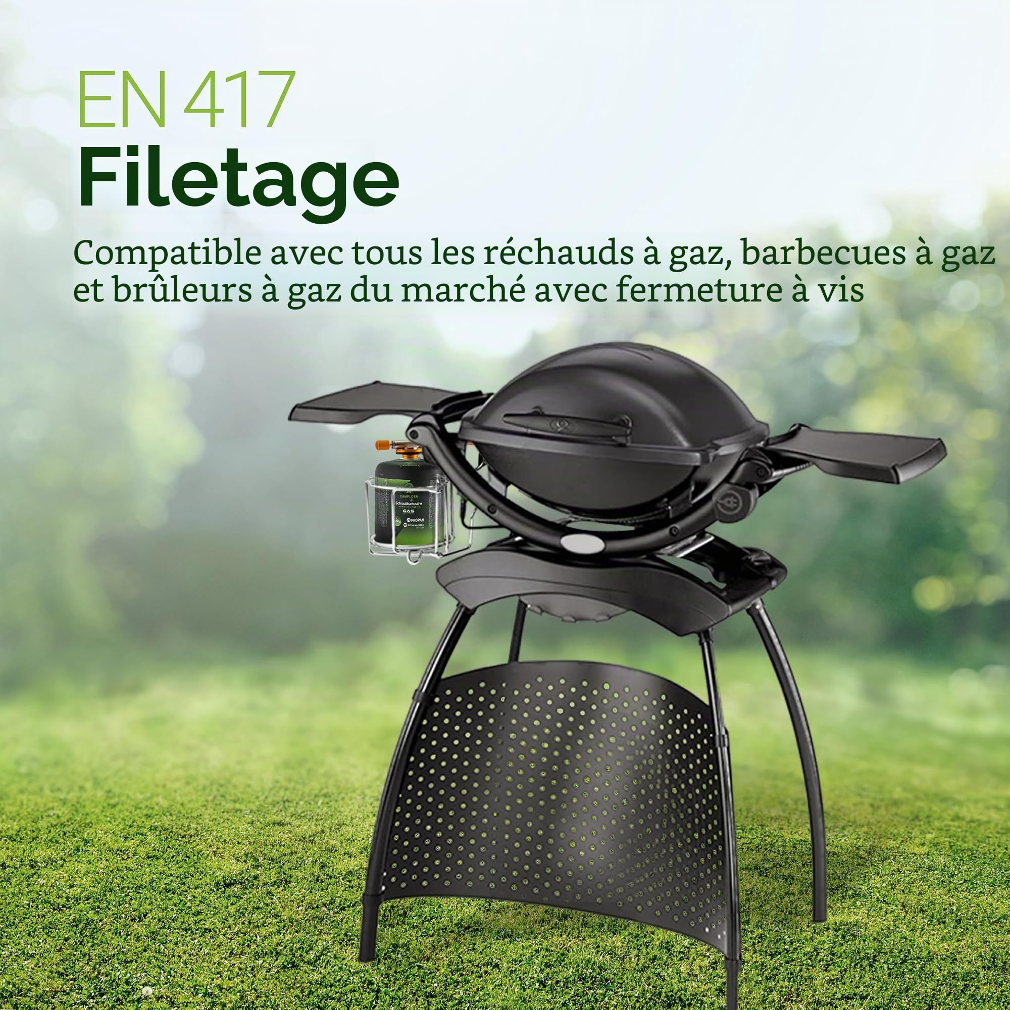 CAMPLORA Lot de 4 cartouches de gaz de 450 g compatibles avec barbecue à gaz Weber série Q100/1000, propane et butane, cartouche à visser avec filetage pour réchaud de camping, cartouches de gaz