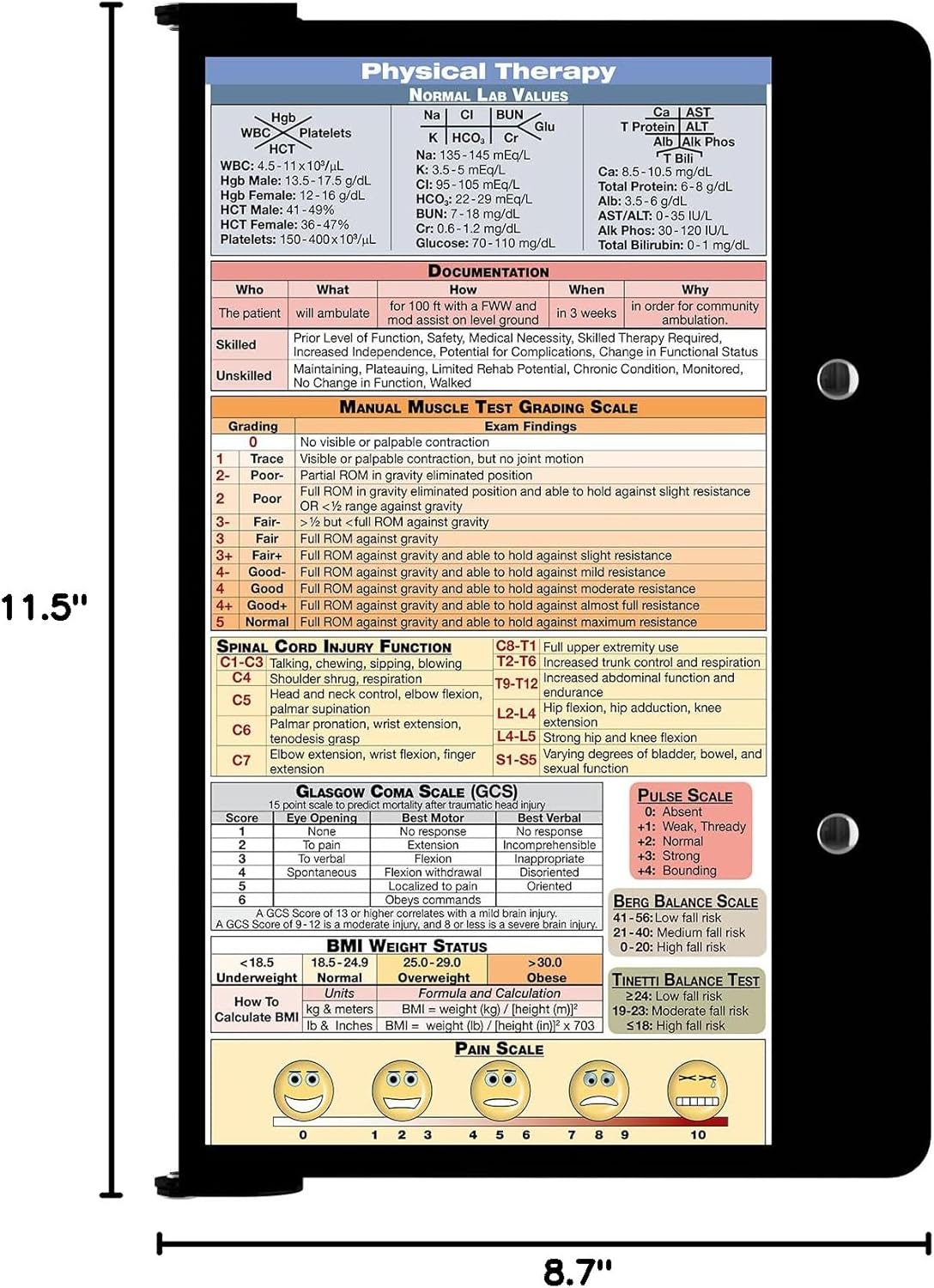 Whitecoat Clipboard® - Black Physical Therapy Edition