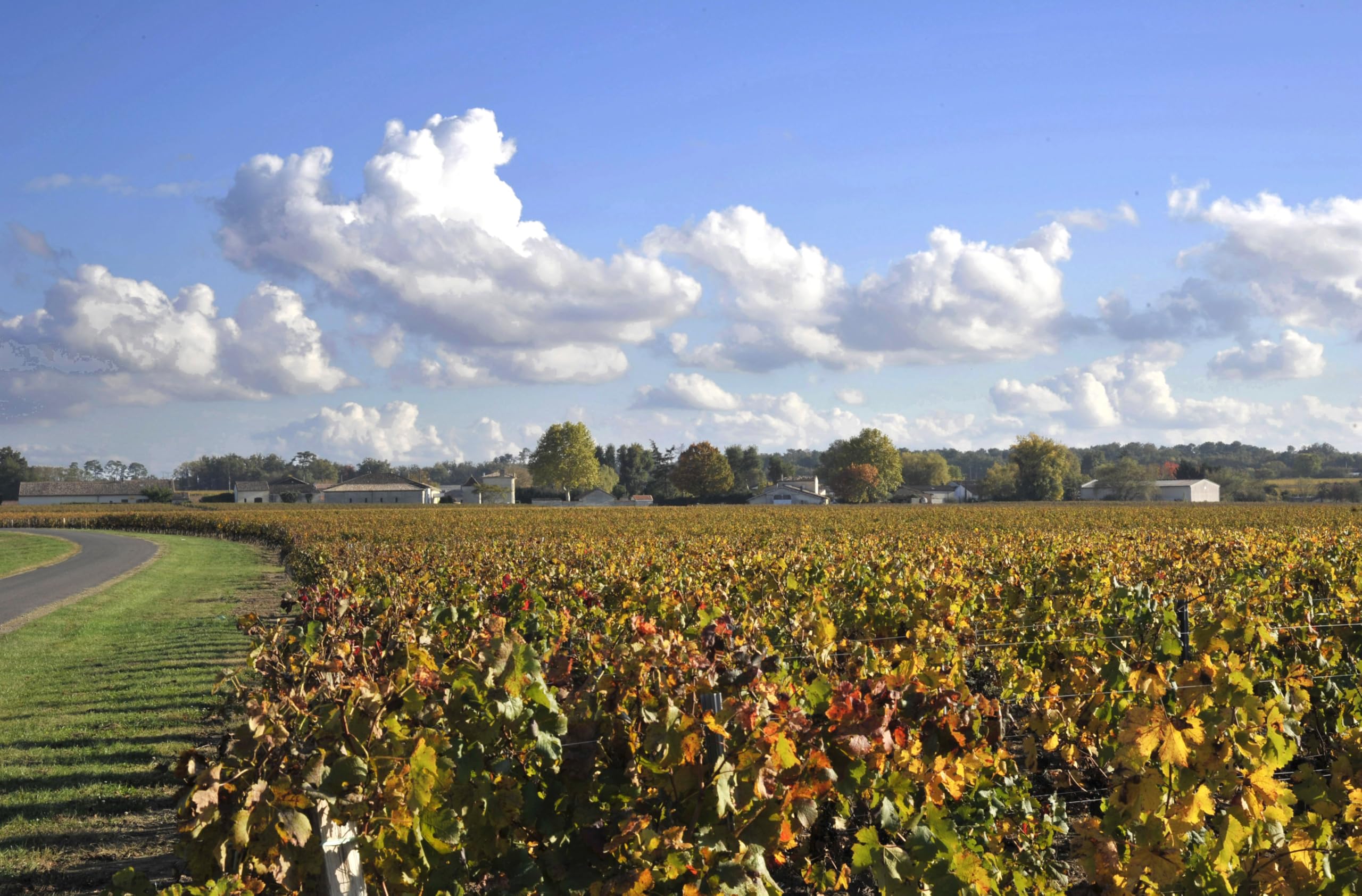 Château Cap de Merle - AOP Lussac Saint-Émilion - Vin Rouge - 6x75cl