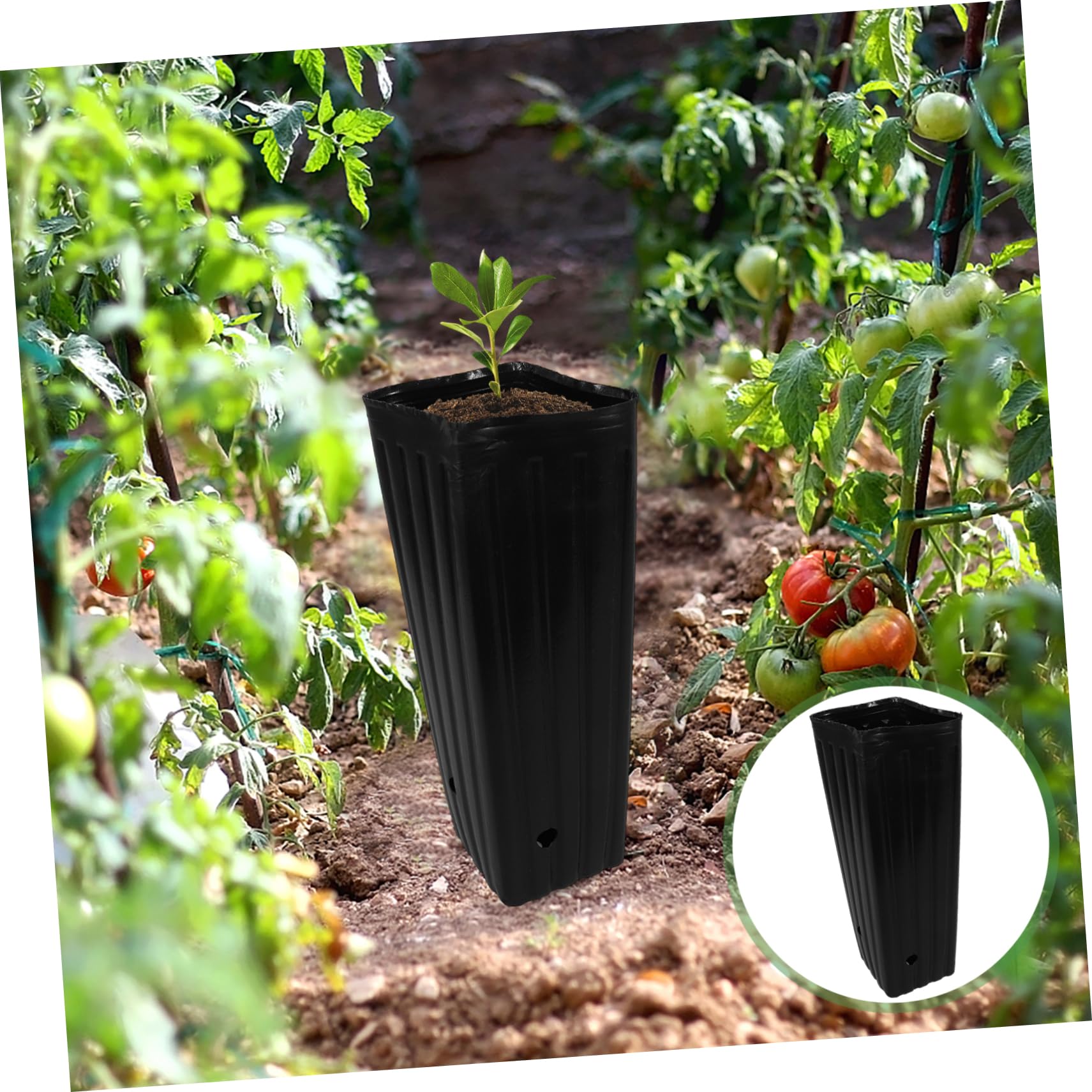 Garneck 30 Stck Hohe Pflanztpfe Fr Anzucht - Wiederverwendbare Eckige  Pflanztpfe Fr Tiefwurzler - Ideal Fr Baumsetzlinge Und Sukkulenten Mit  Drainagelchern: Amazon.de: Garten
