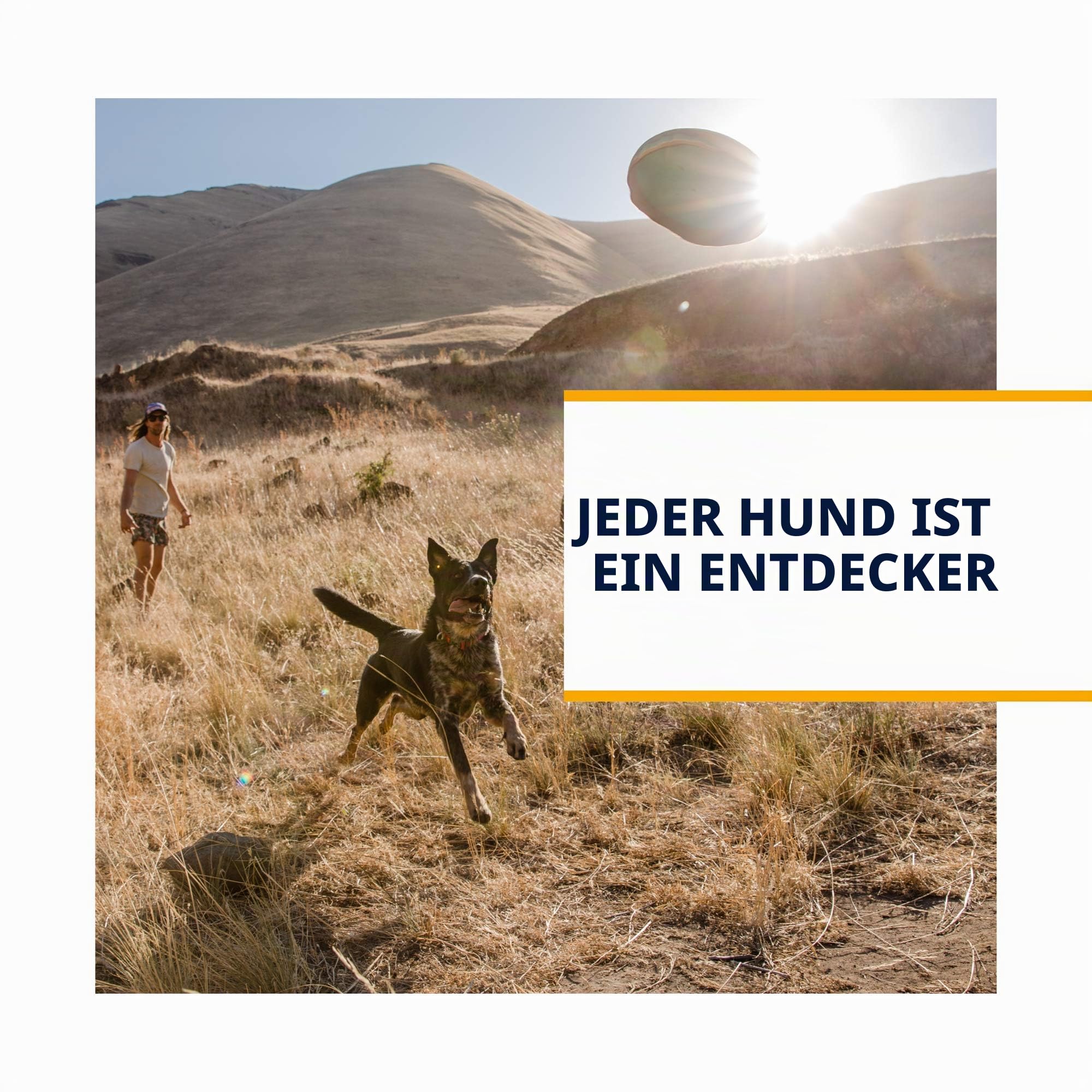 RUFFWEAR Hundegeschirr mit Taschen, Switchbak, Ganztägiger Komfort mit Eingebauten Taschen Für Kurze Tagesausflüge und Alltägliche Aktivitäten, Große bis Sehr Große Hunderassen, Granite Grey