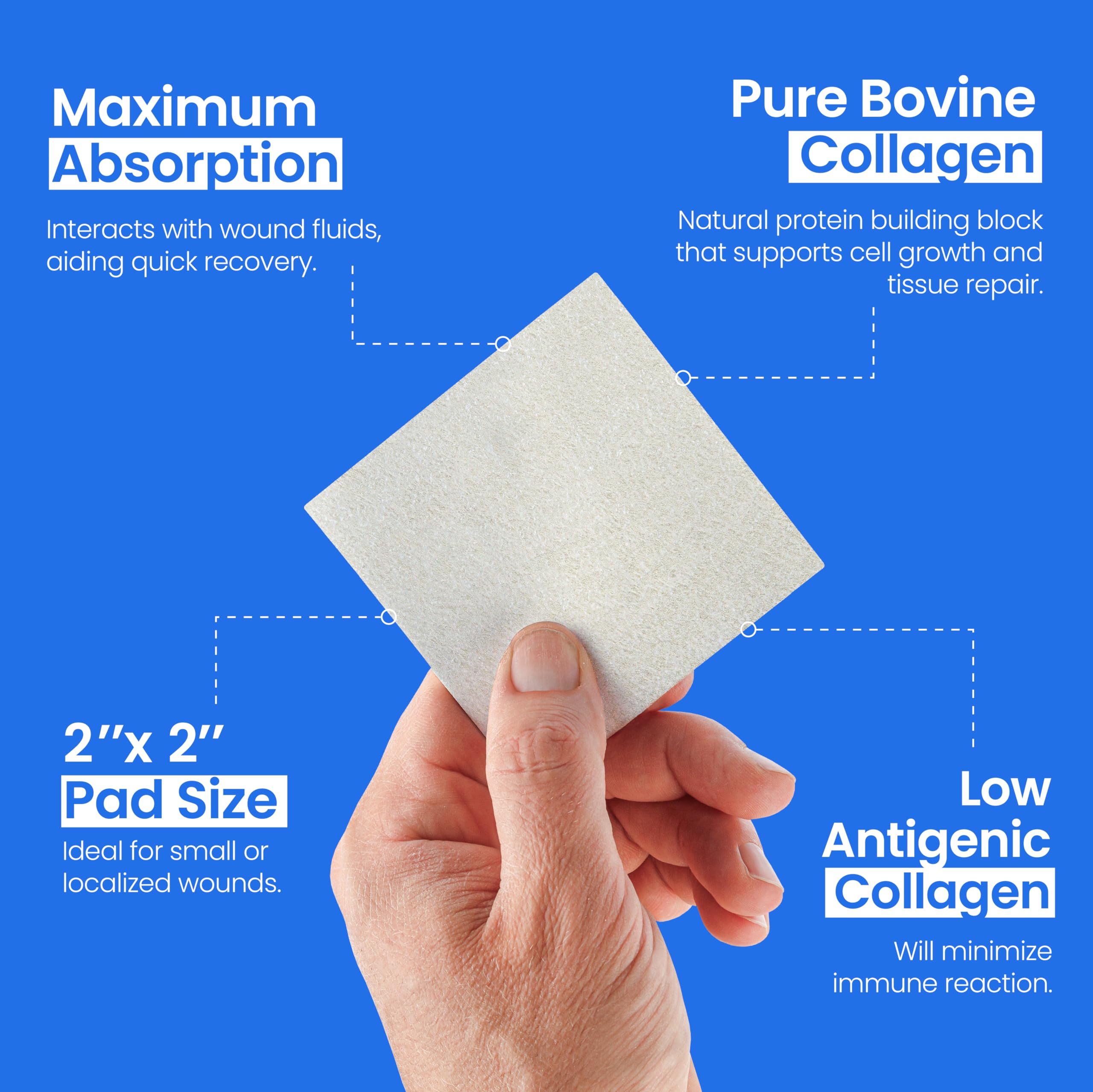 collagen dressing Square MPM Triple Helix Collagen Dressing