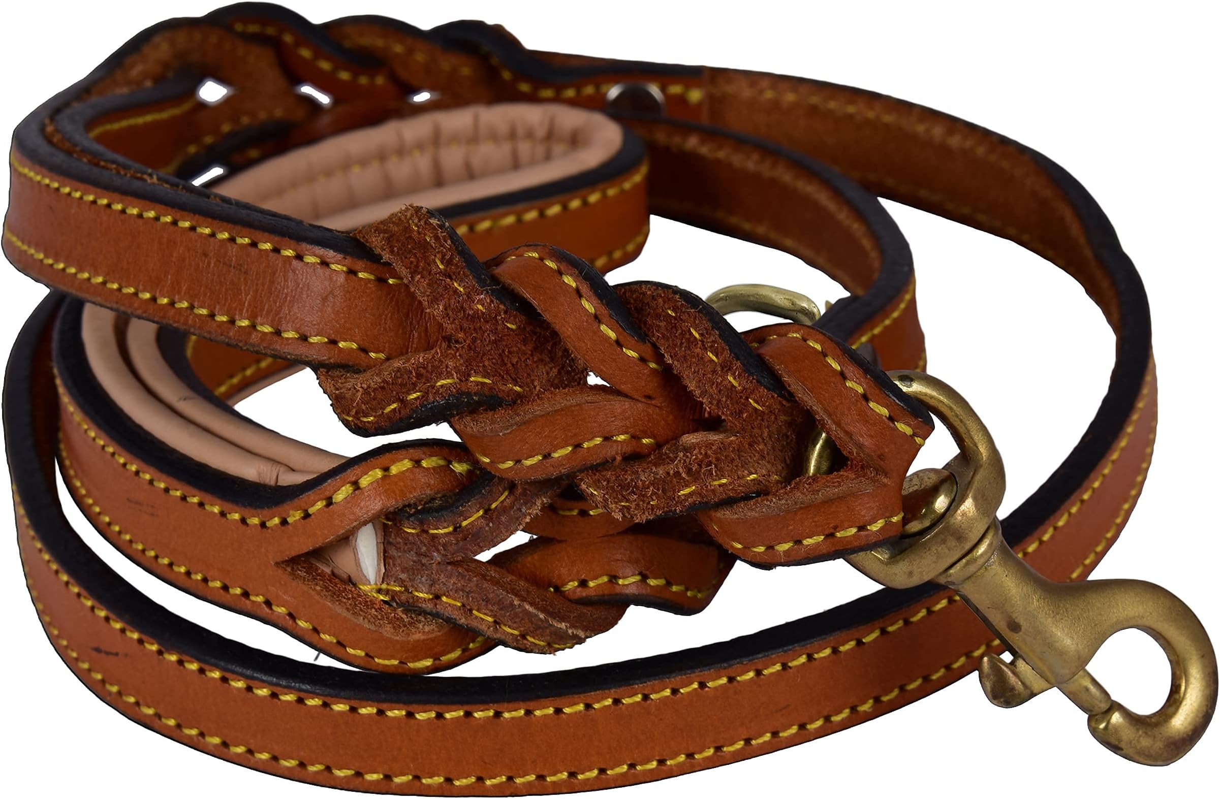 Soft Touch Collars Leather Braided Dog Leash, Tan with