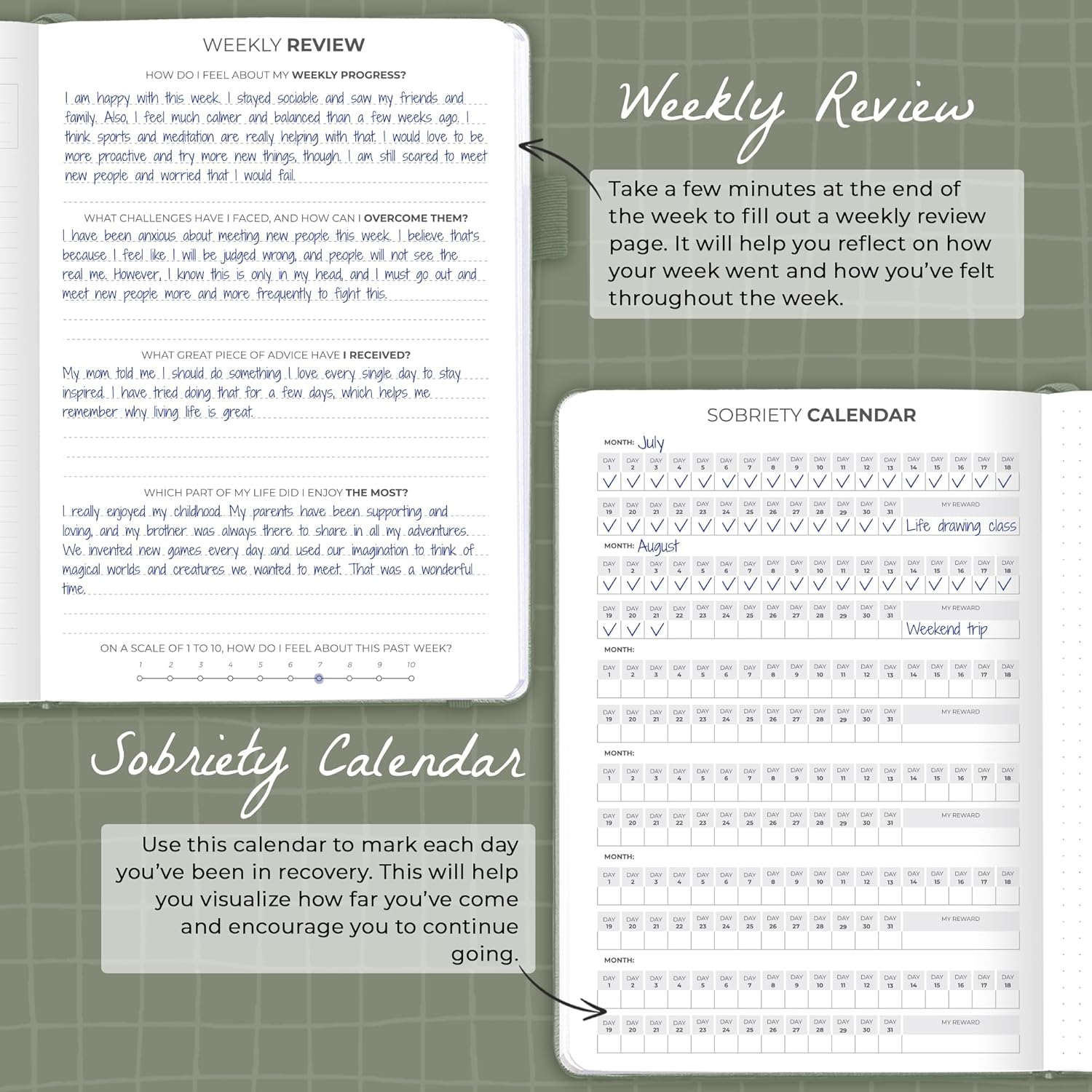 Clever Fox Addiction Recovery Journal – Addiction Treatment Planner & Workbook – Daily Sobriety Journal for Recovery Progress, A5 (Cypress)