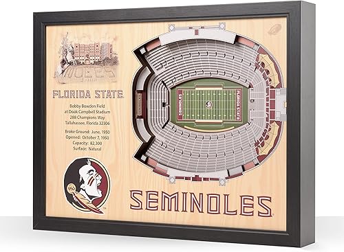 Miniatura 48 de YouTheFan NCAA Arte de Pared StadiumView de 25 Capas